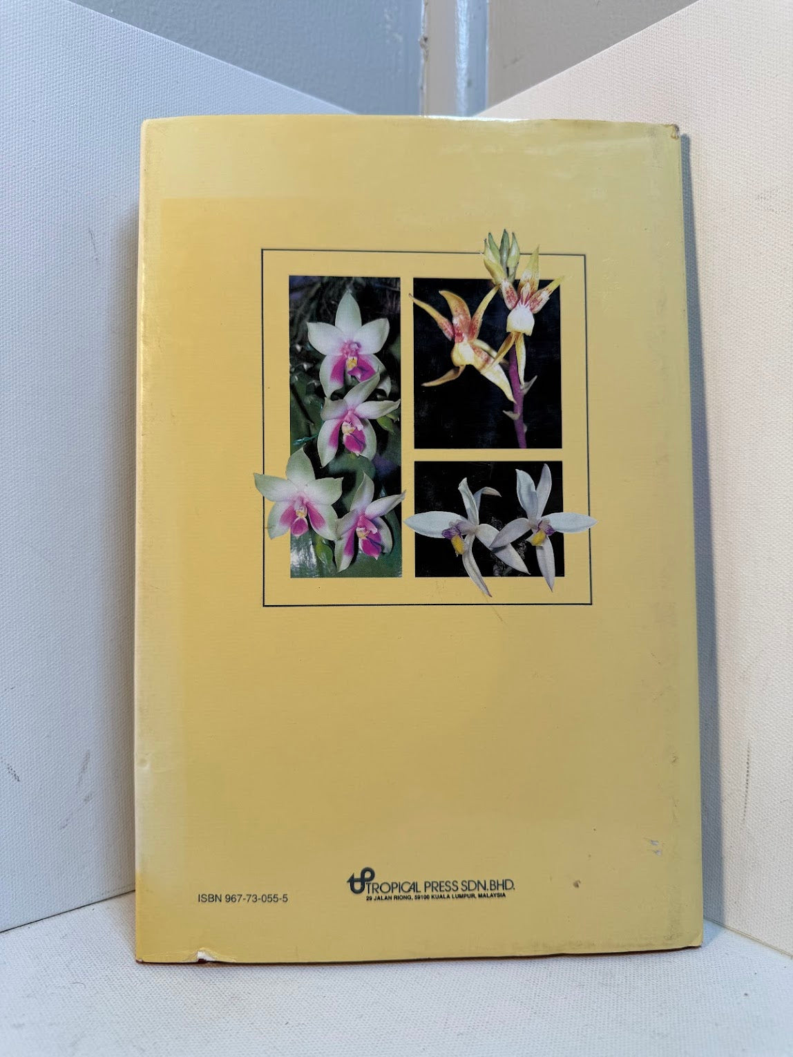 Orchid Portraits by H.S. Yong