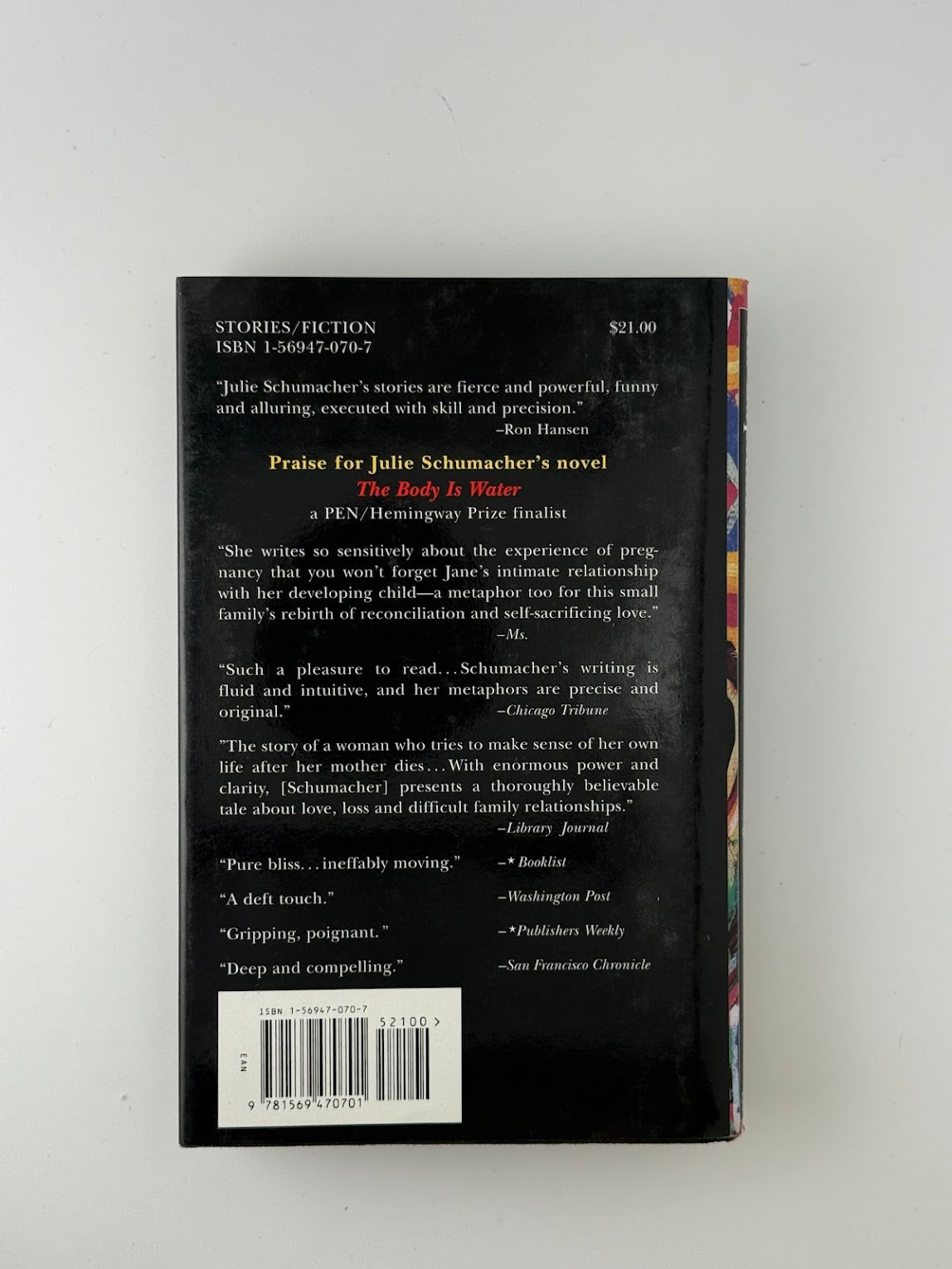 An Explanation for Chaos by Julie Schumacher