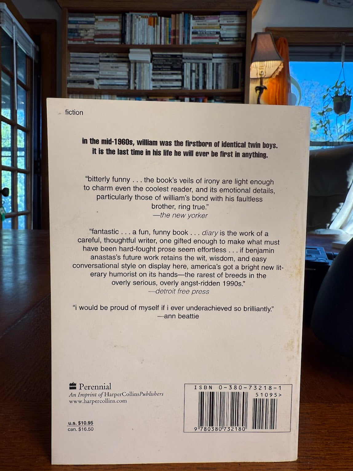 An Underachiever's Diary by Benjamin Anastas