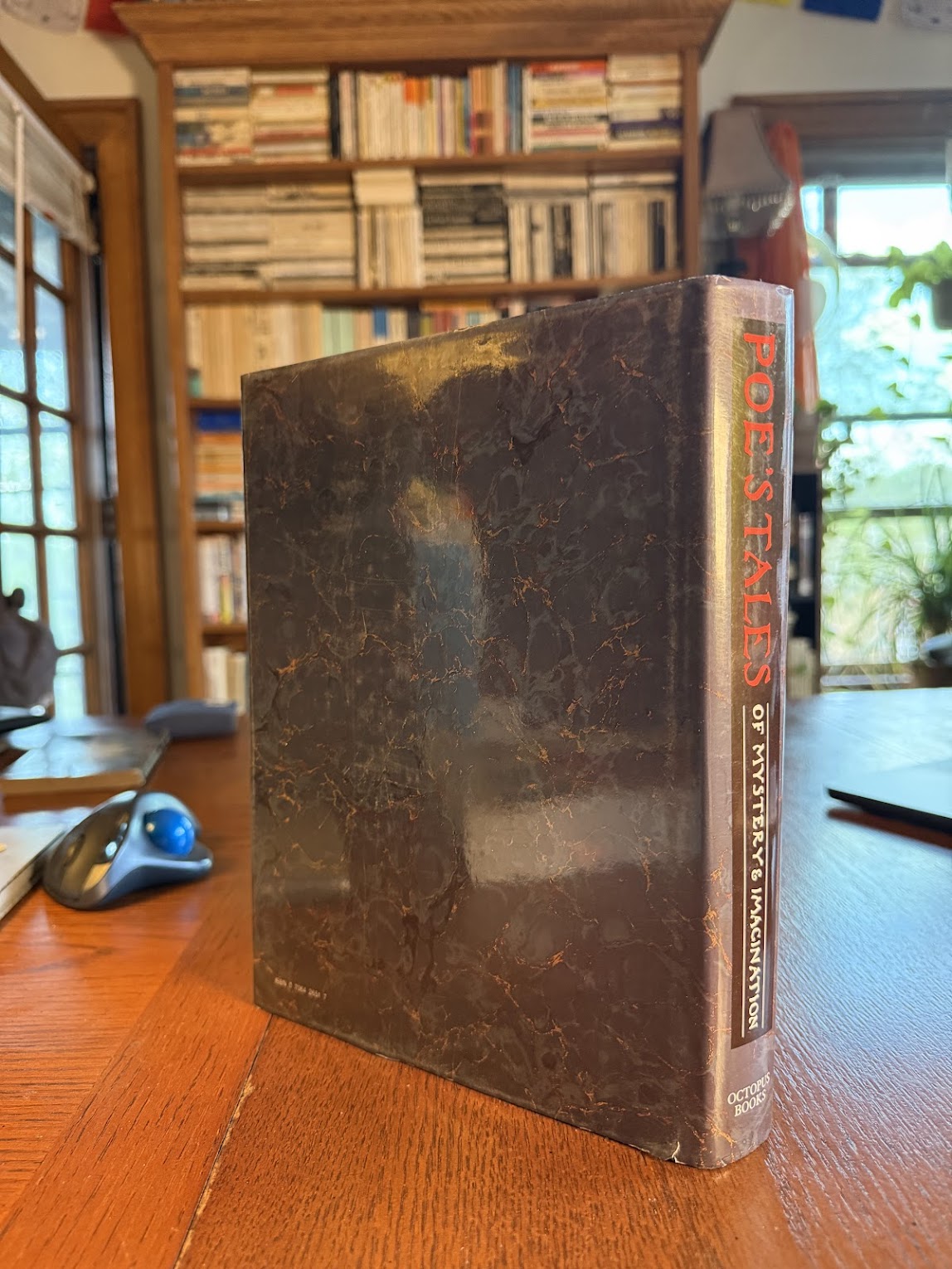 Poe's Tales of Mystery and Imagination illustrated by Arthur Rackham