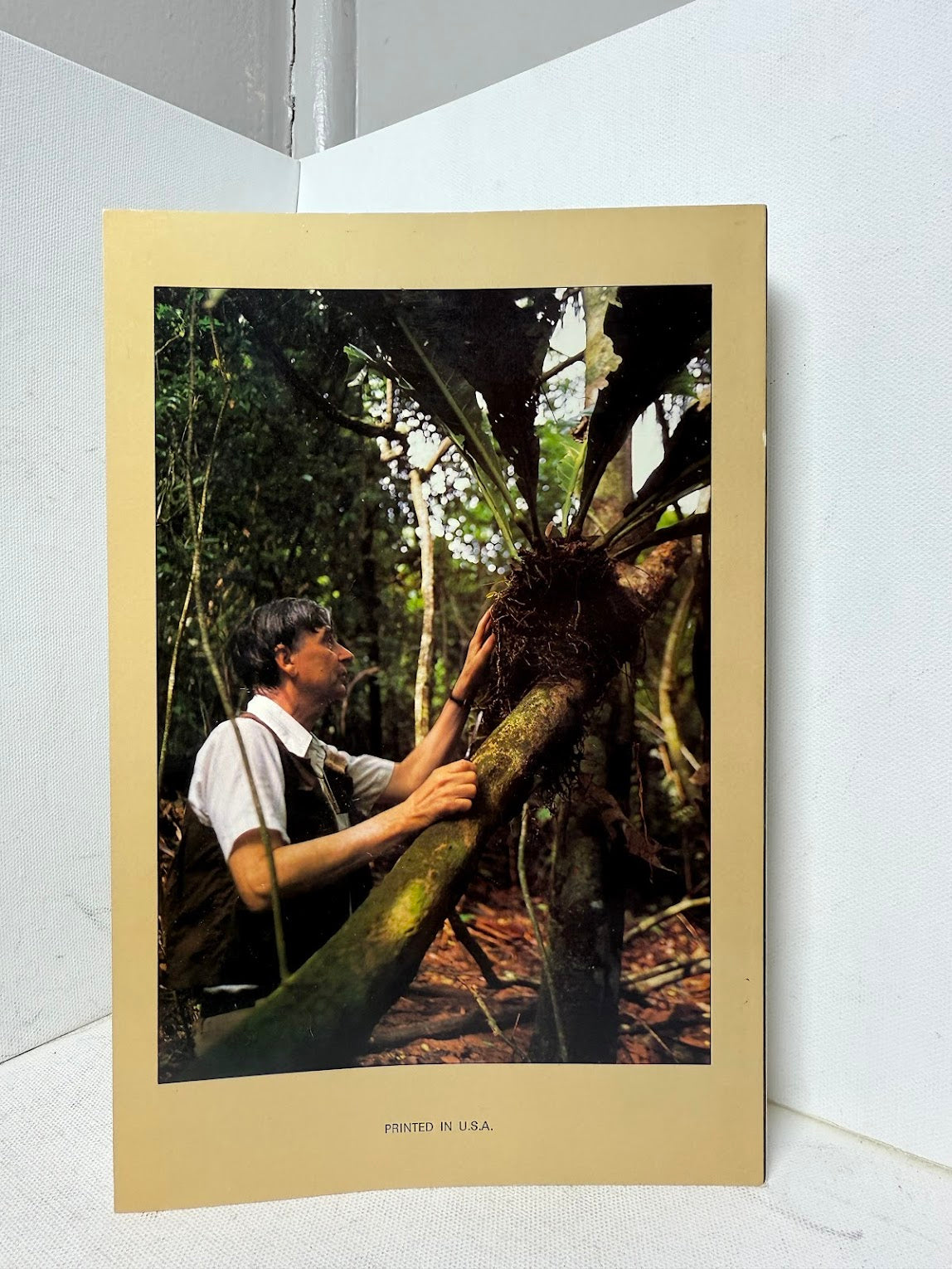 The Diversity of Life by Edward O. Wilson