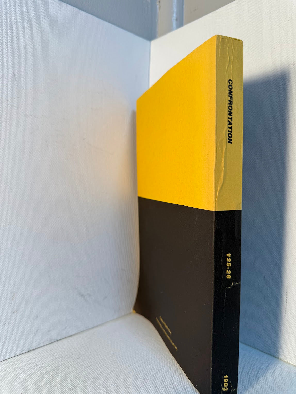 Brooklyn and the World - Confrontation Anthology Issue