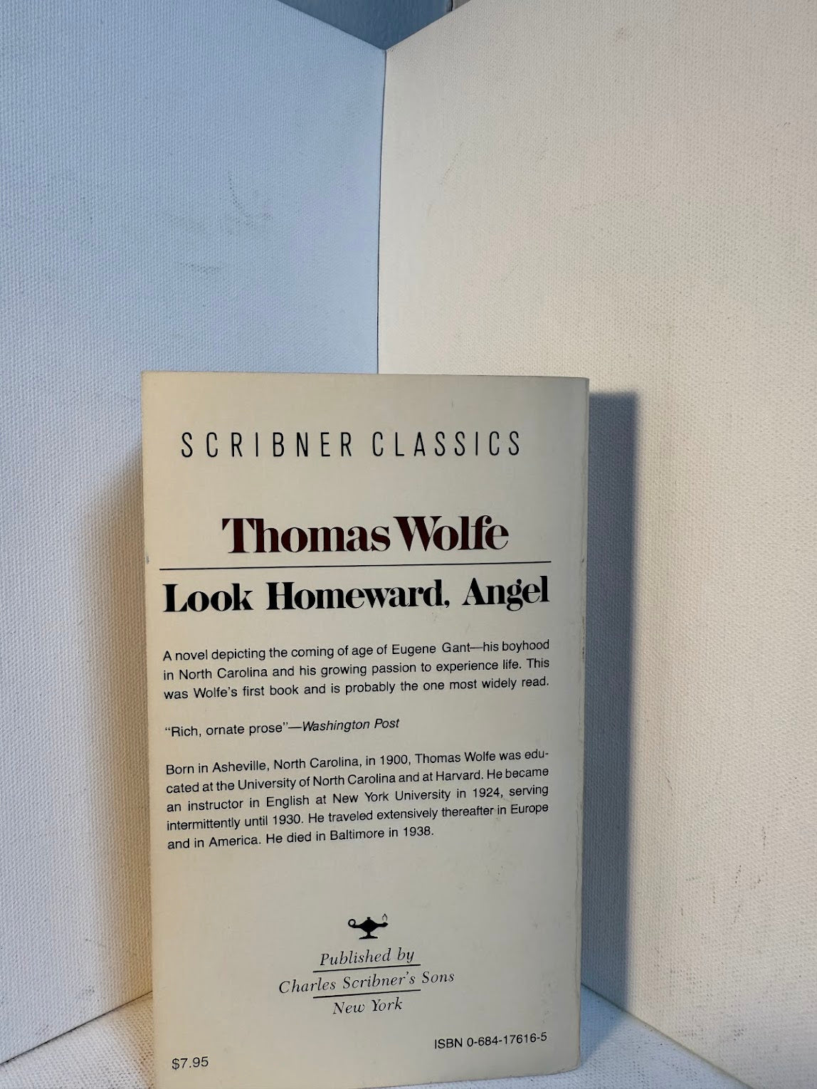 Look Homeward Angel by Thomas Wolfe