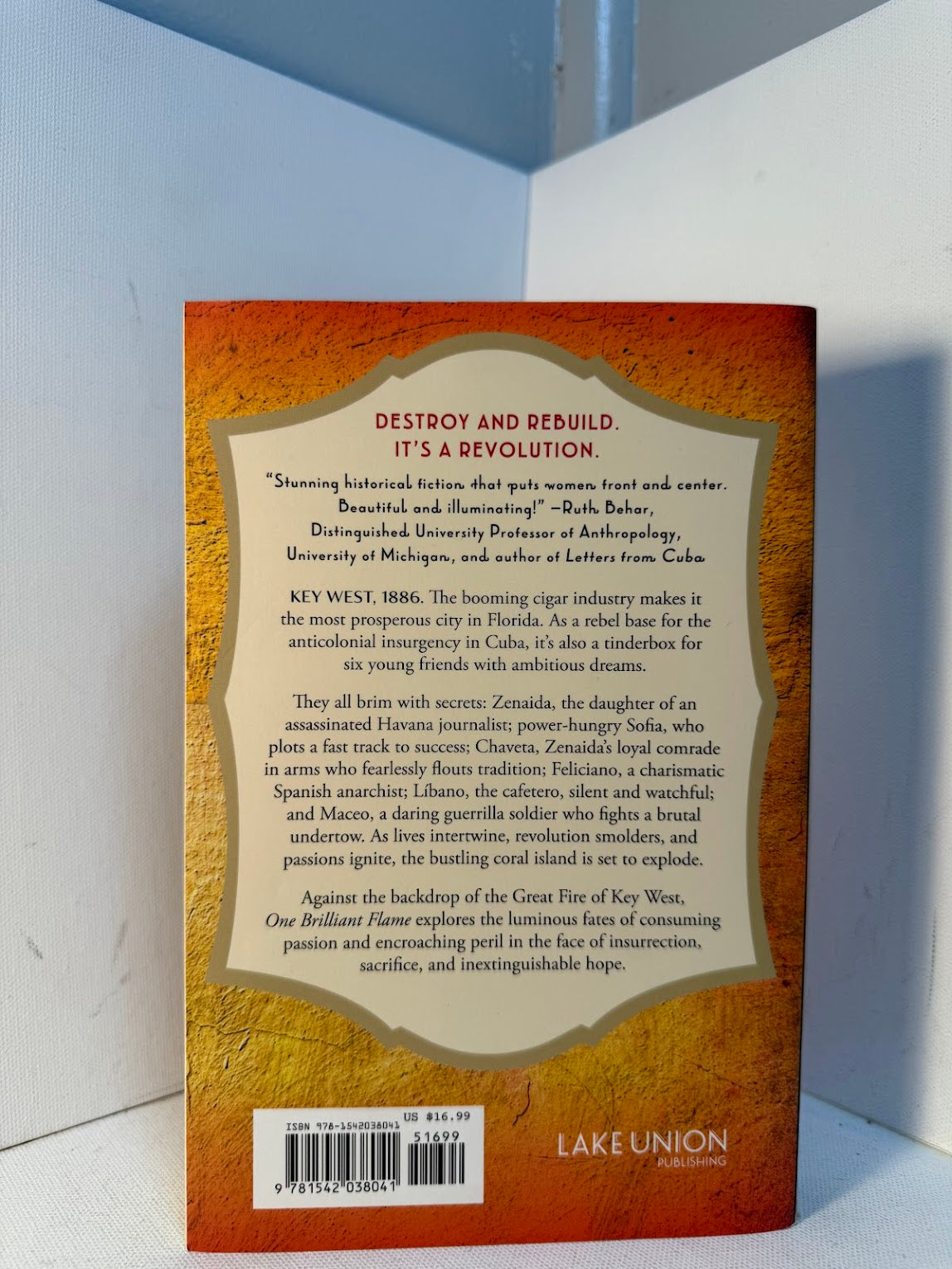 One Brilliant Flame by Joy Castro