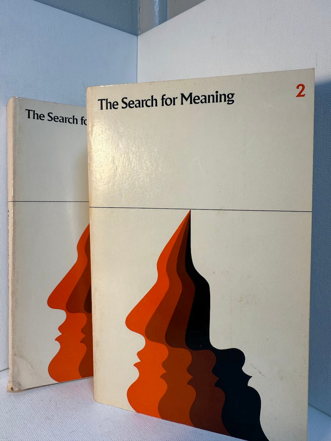 The Search for Meaning (2vol.)