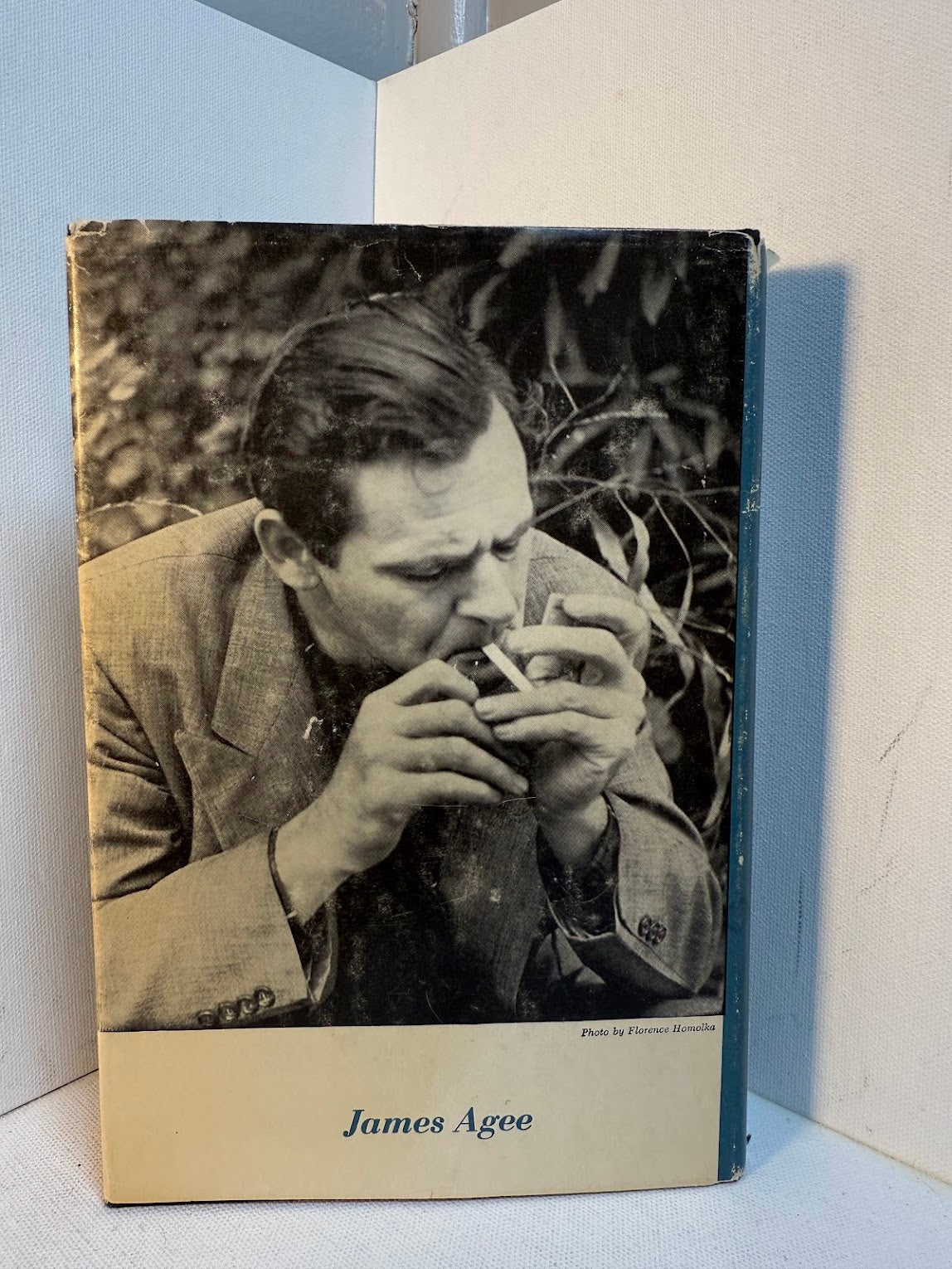 A Death in the Family by James Agee