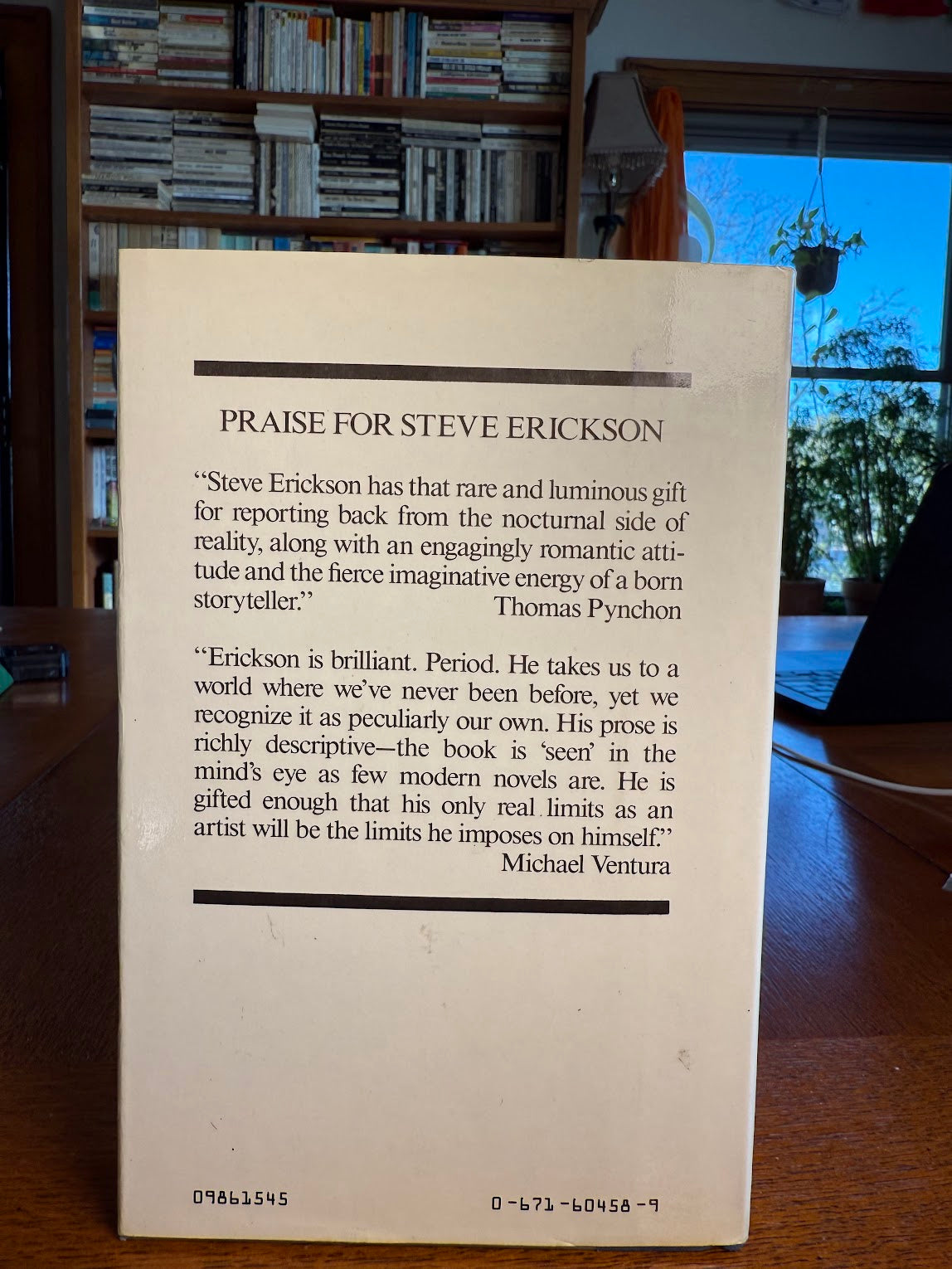 Rubicon Beach by Steve Erickson