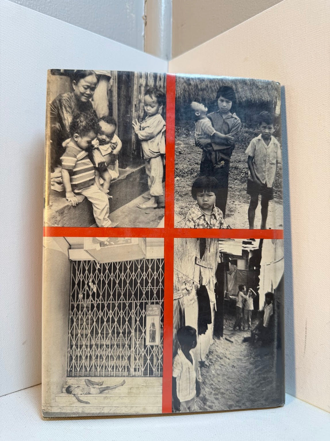 Children of Vietnam by Betty Jean Lifton and Thomas C. Fox