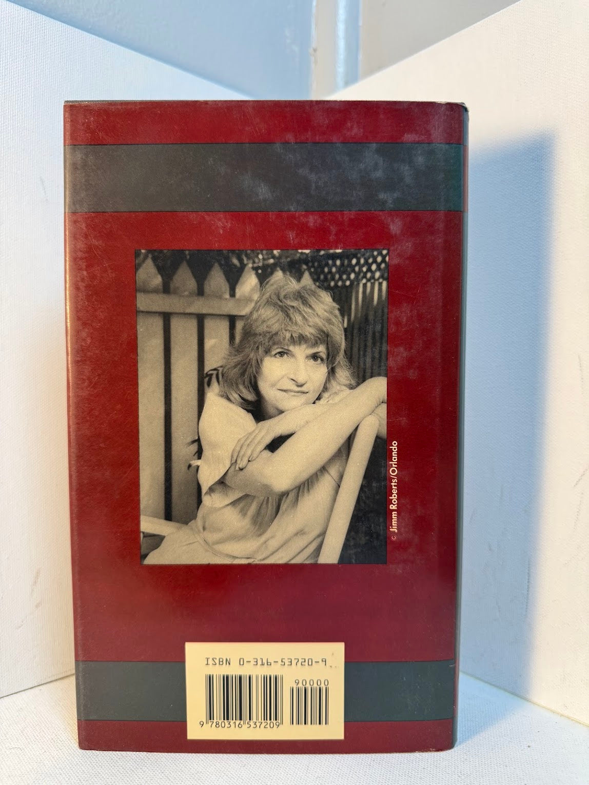 The Truth About Lorin Jones by Alison Lurie