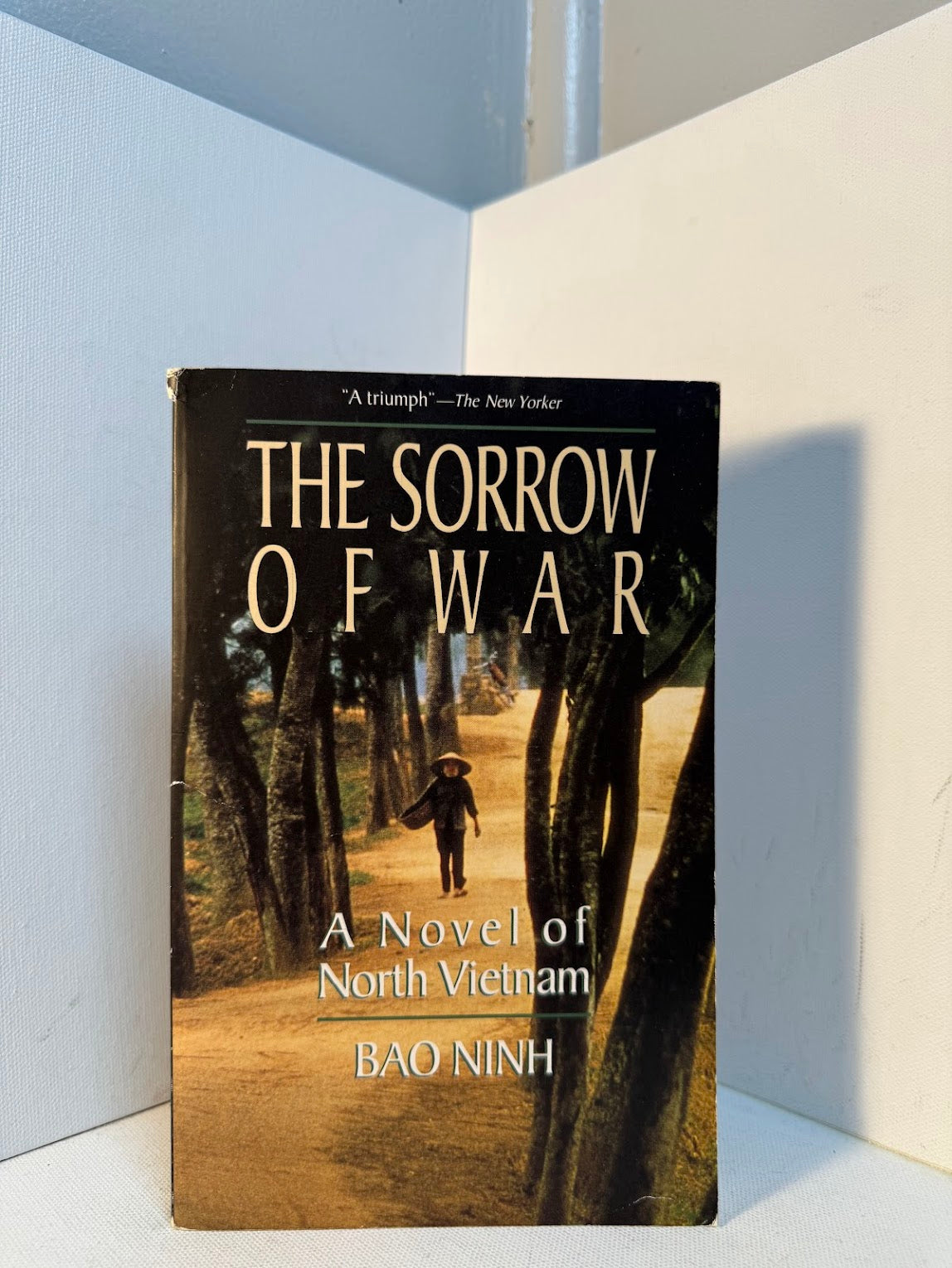 The Sorrow of War by Bao Ninh