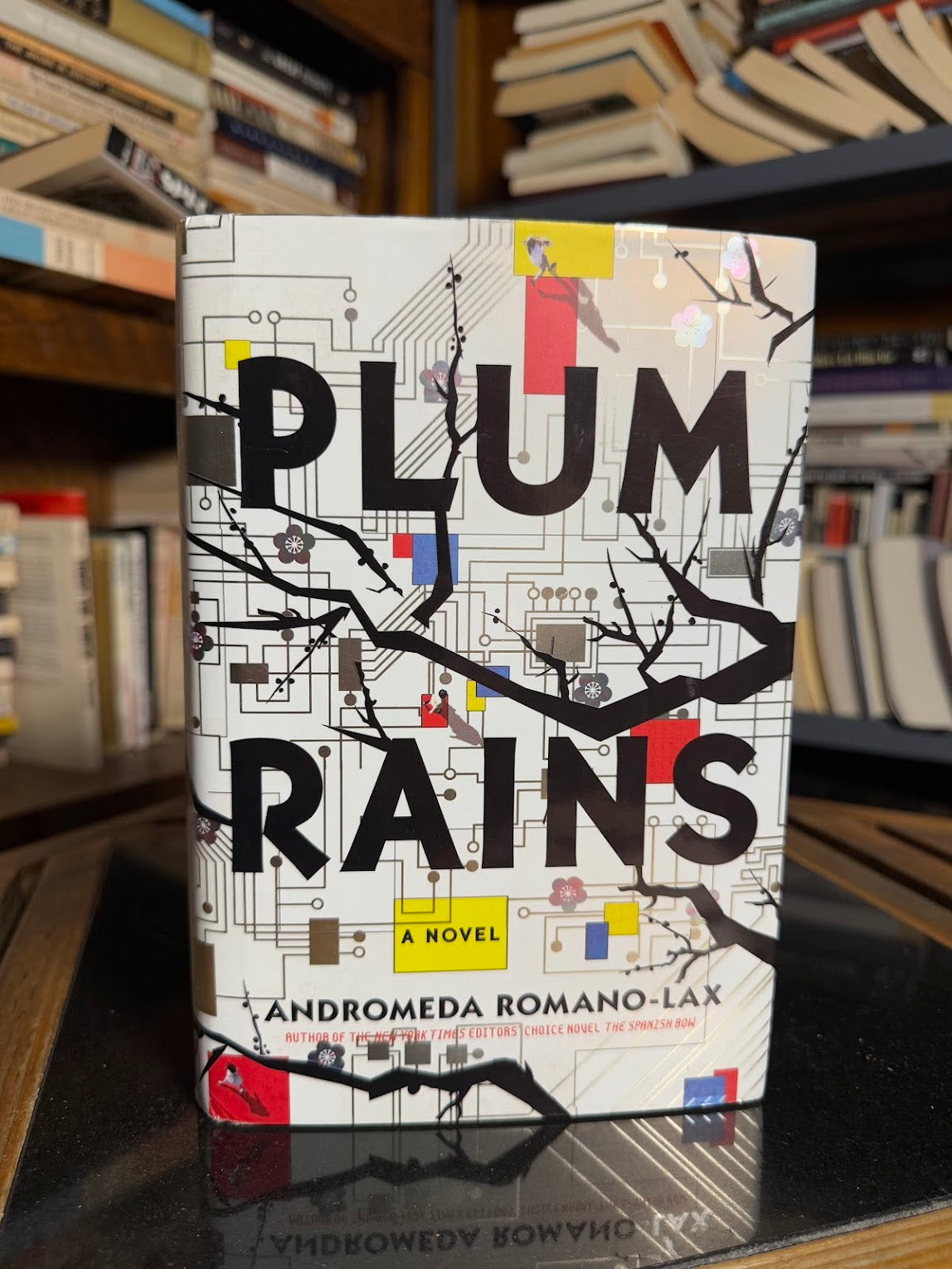 Plum Rains by Andromeda Romano-Lax