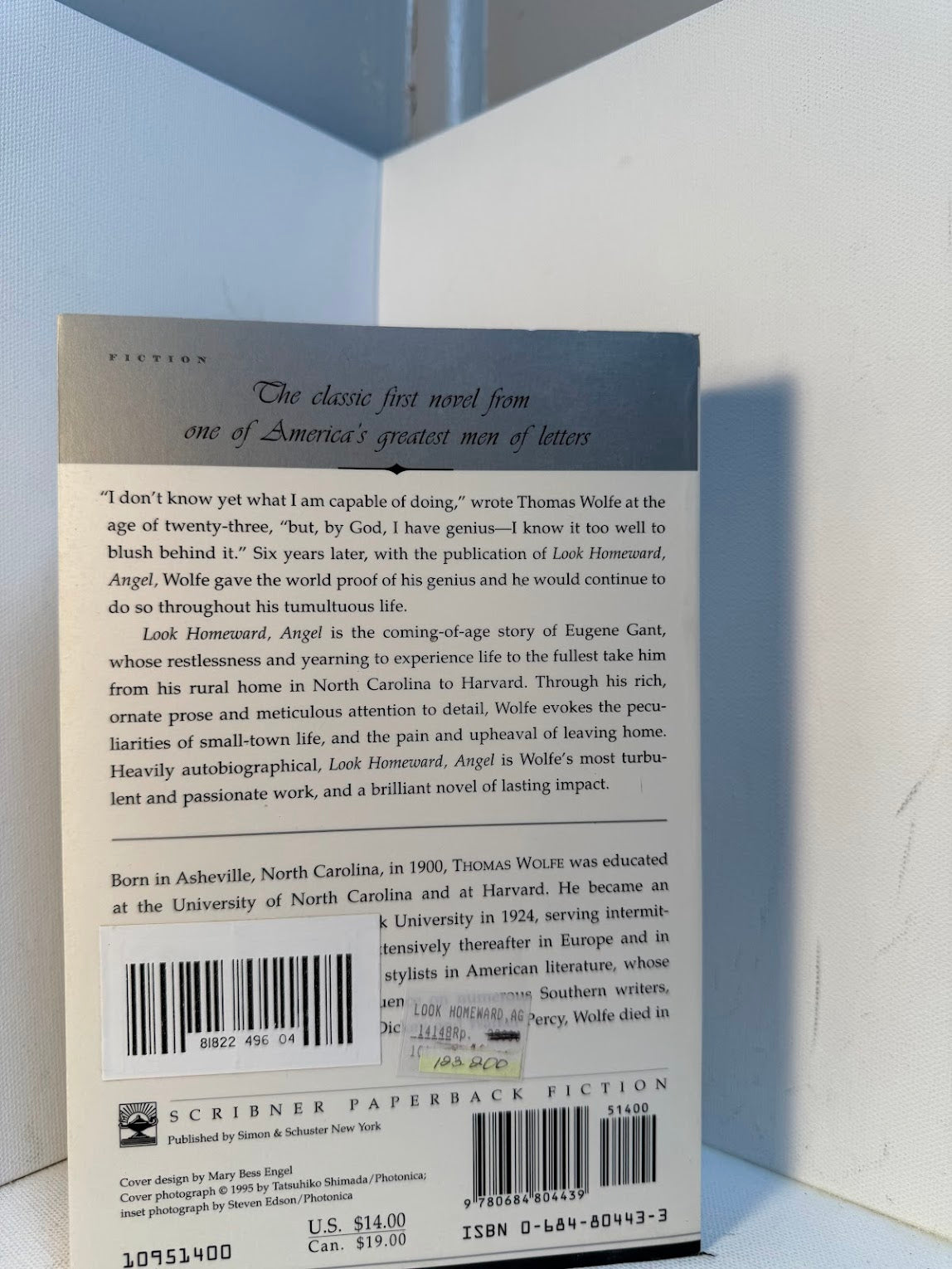 Look Homeward Angel by Thomas Wolfe