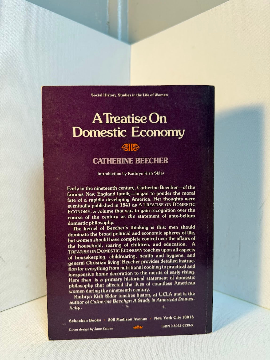 A Treatise on Domestic Economy by Catherine Beecher