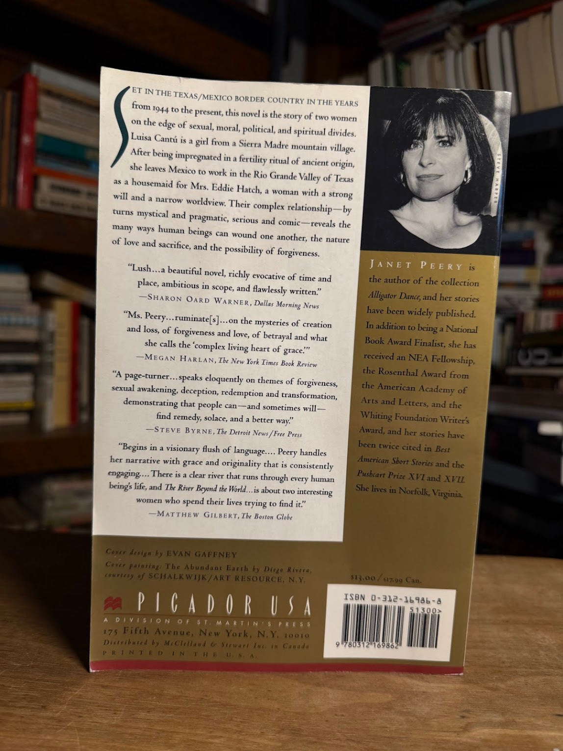The River Beyond the World by Janet Peery
