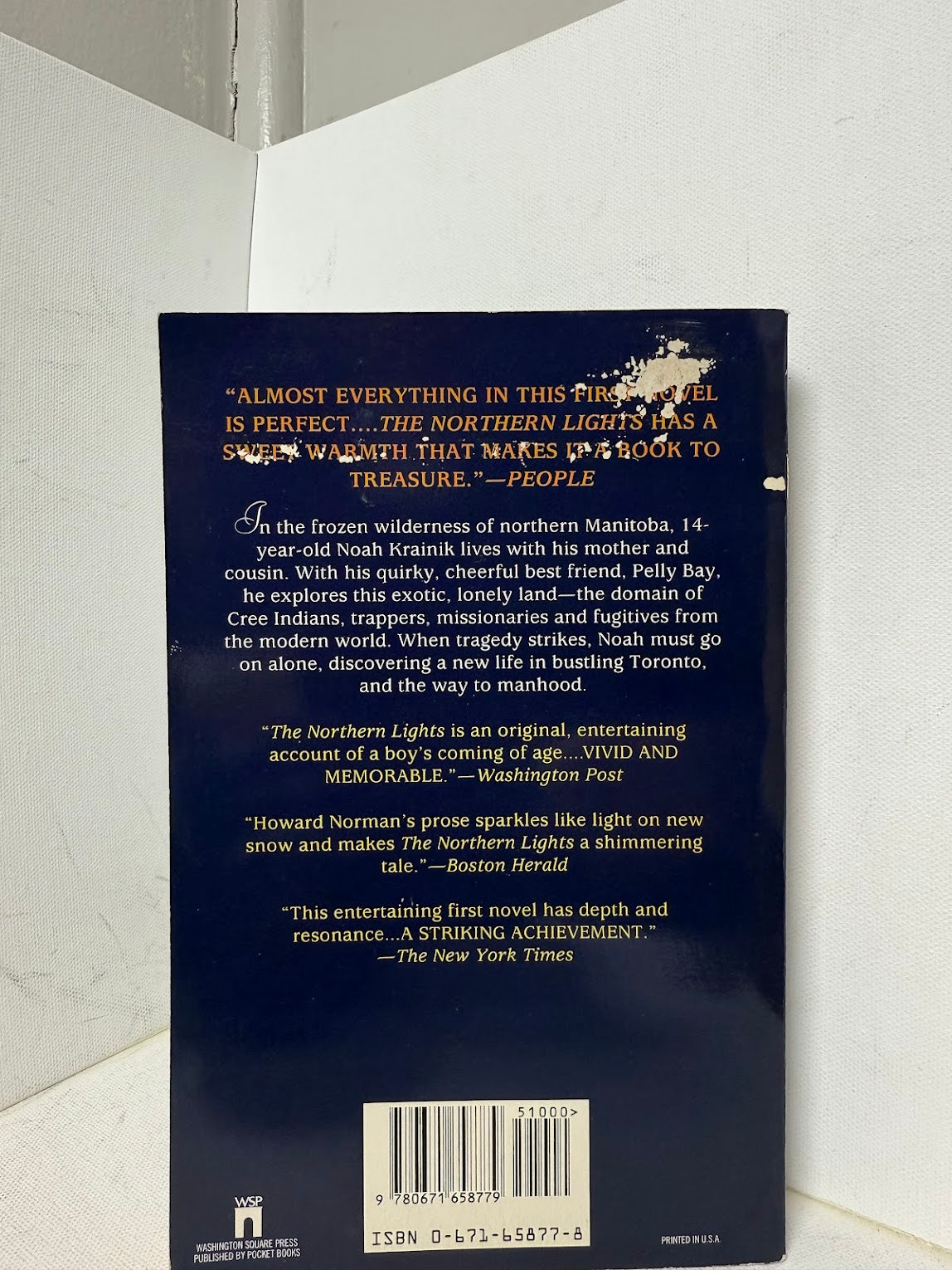 The Northern Lights by Howard Norman