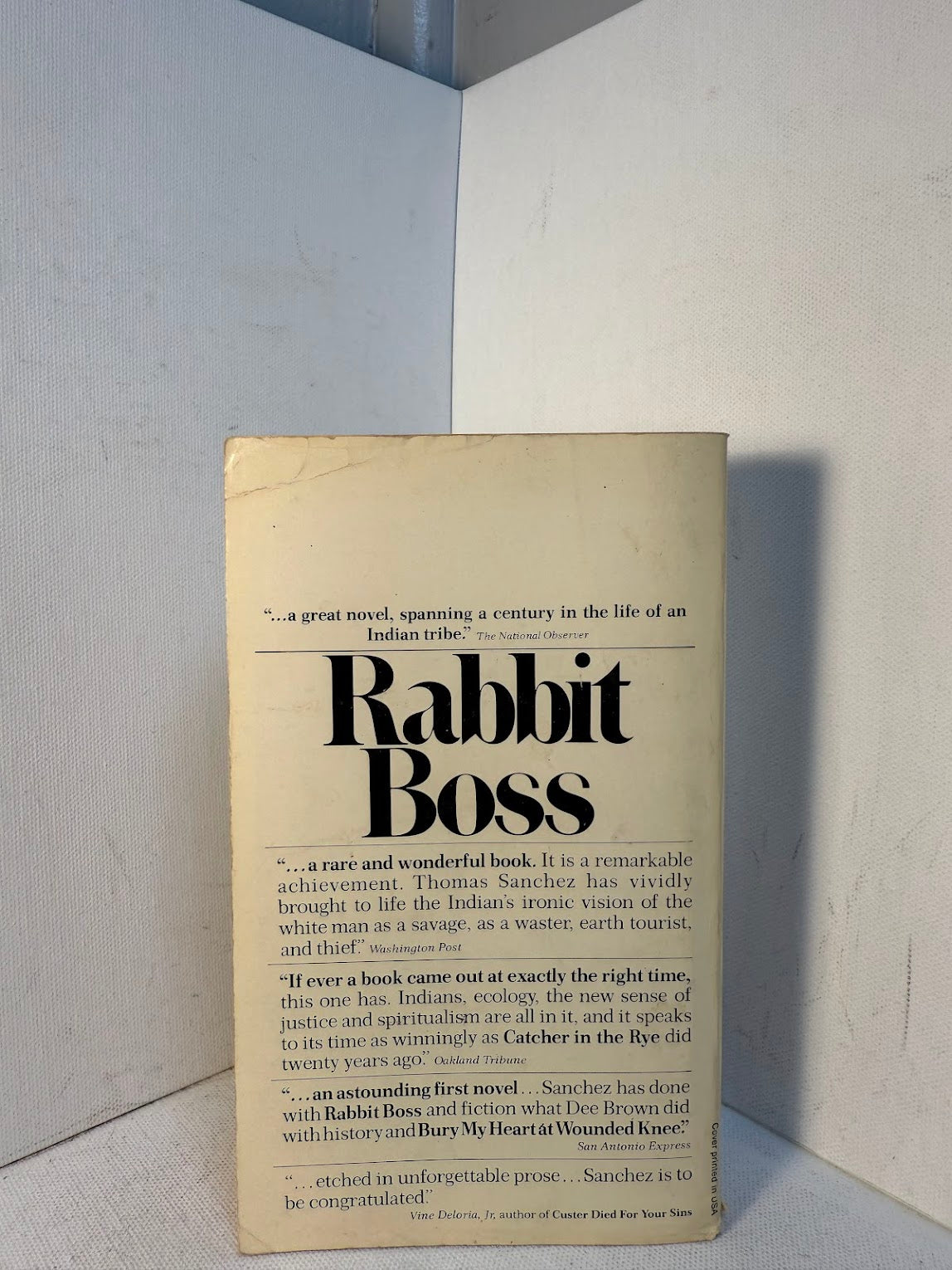 Rabbit Boss by Thomas Sanchez