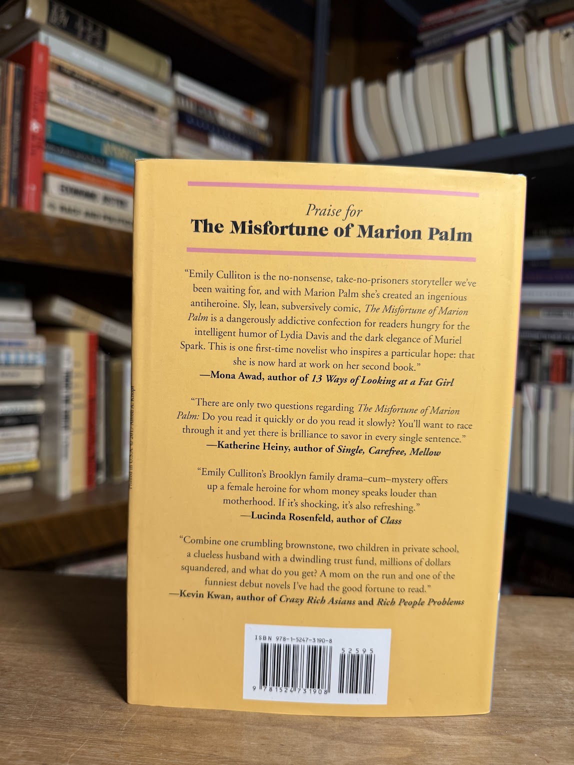 The Misfortune of Marion Palm by Emily Culliton