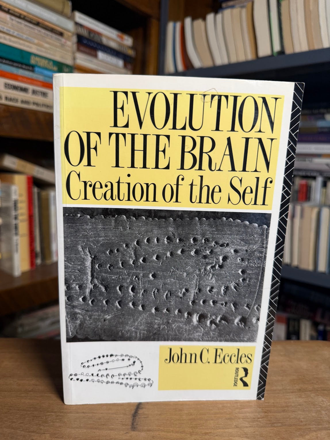 Evolution of the Brain - Creation of the Self by John C. Eccles ...