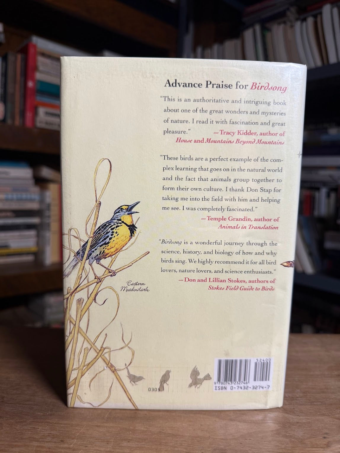 Birdsong - A Natural History by Don Stap