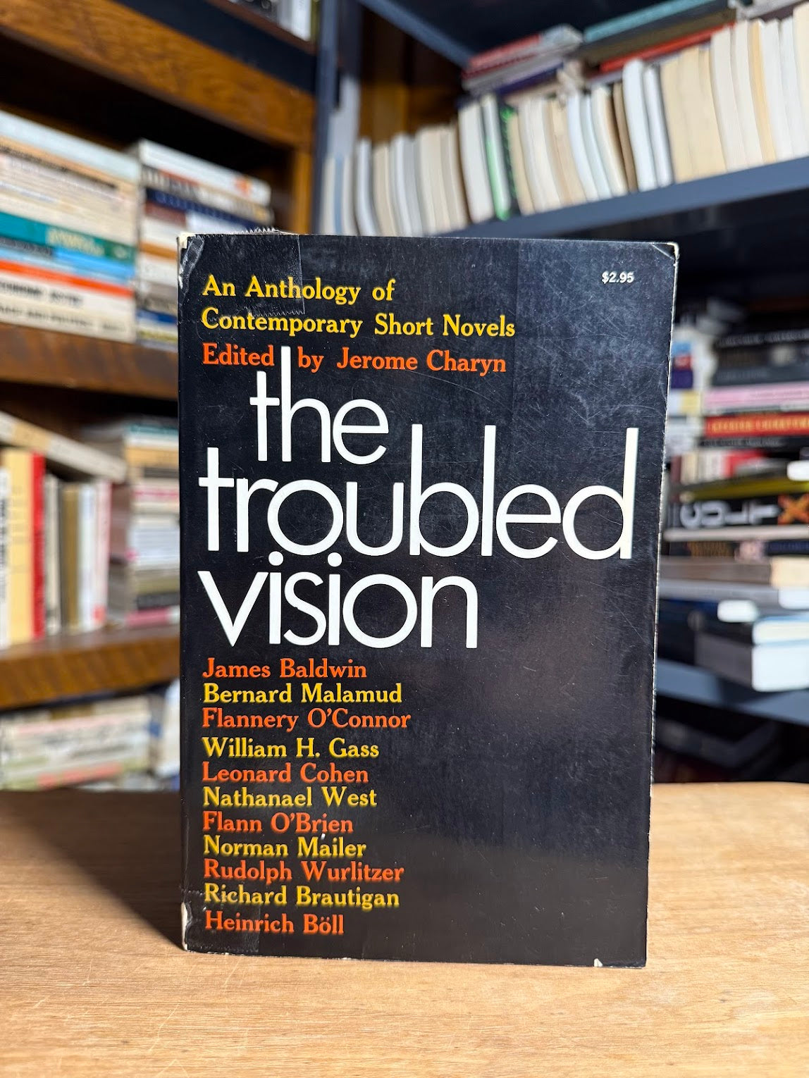 The Troubled Vision edited by Jerome Charyn