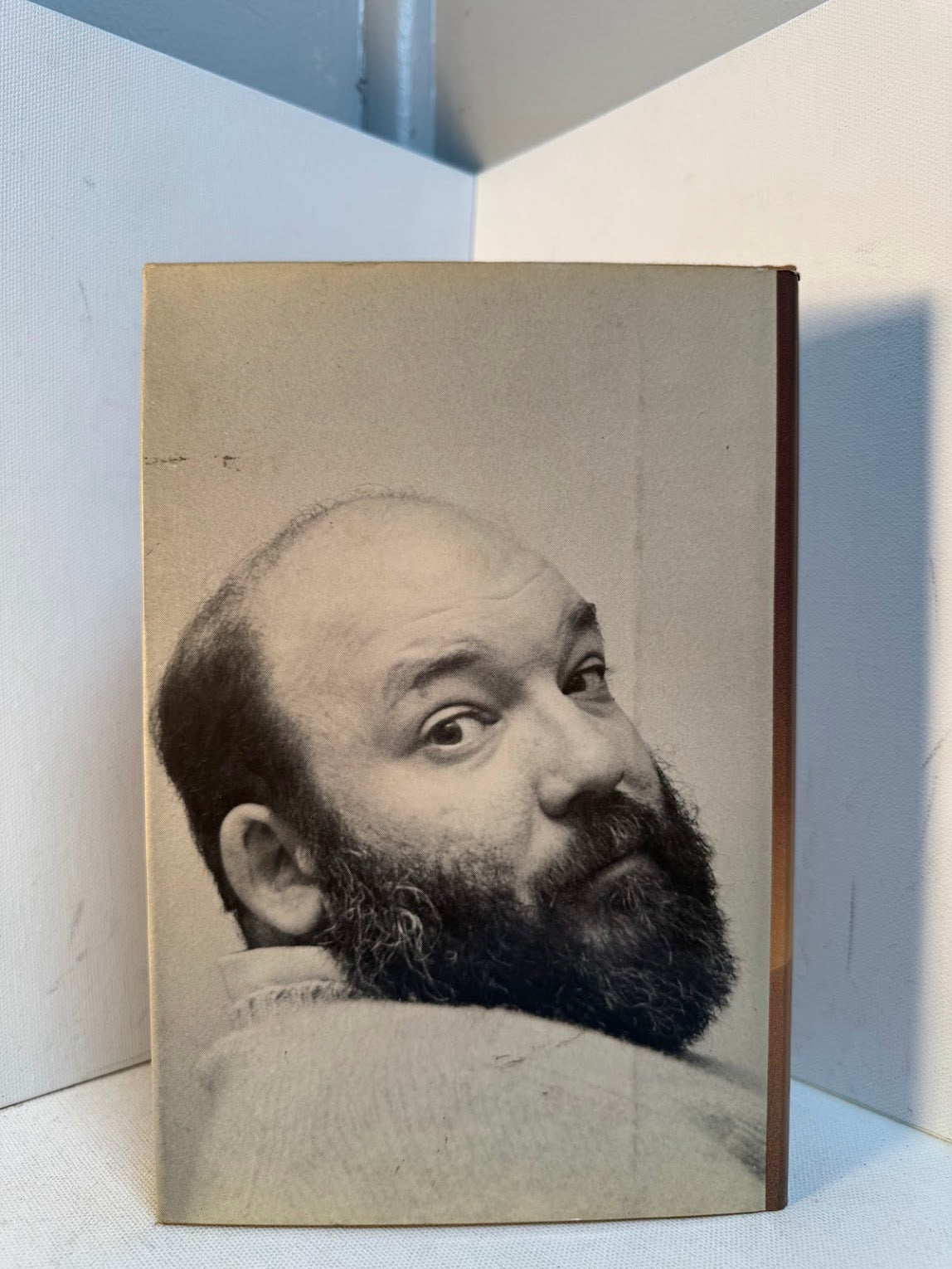 Invisible Mending by Frederick Busch