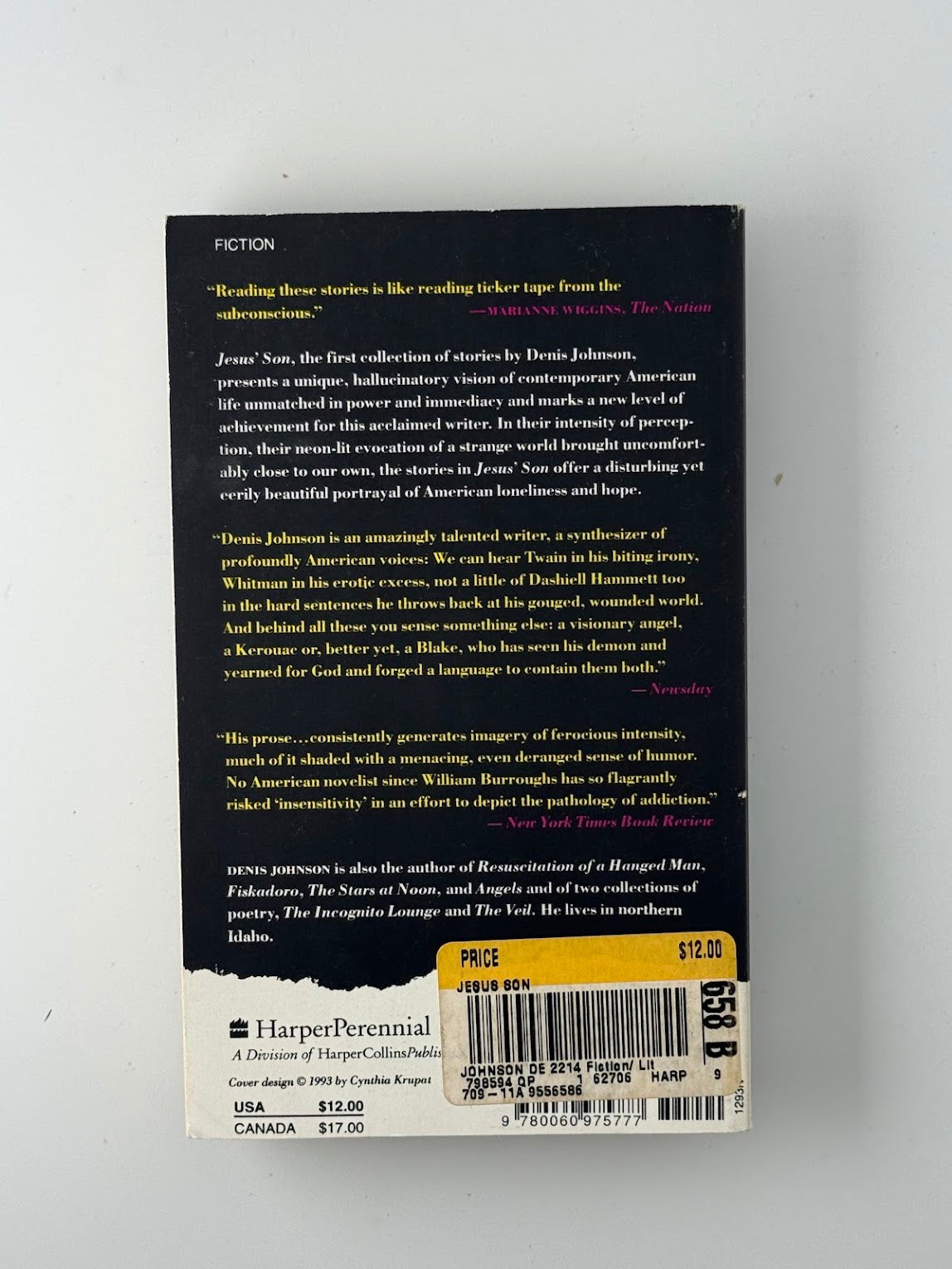 Jesus' Son by Denis Johnson
