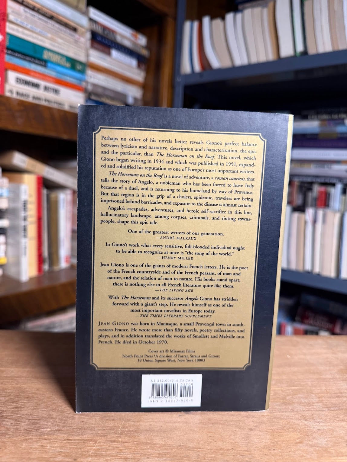 The Horseman on the Roof by Jean Giono