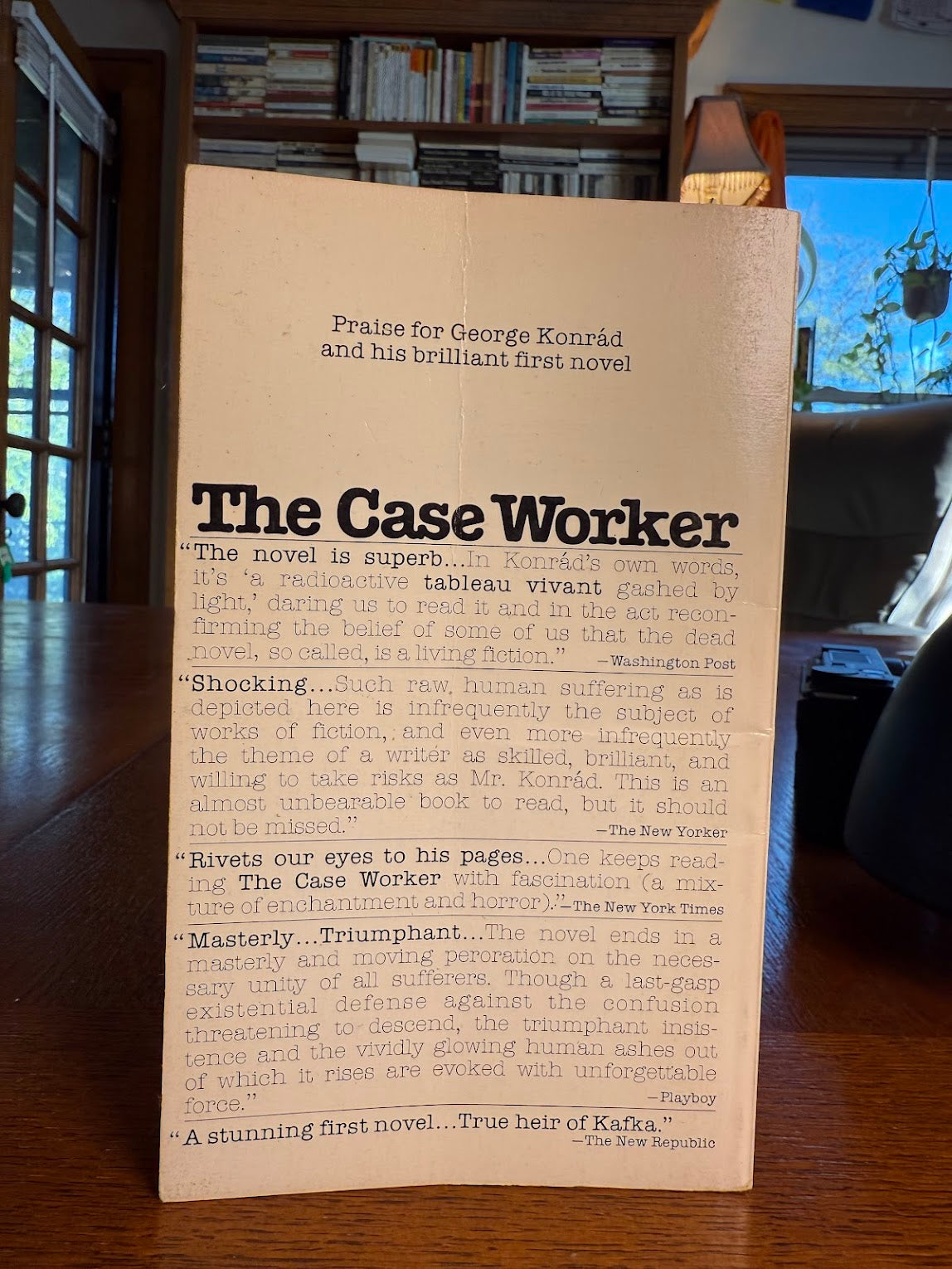 The Case Worker by George Konrad