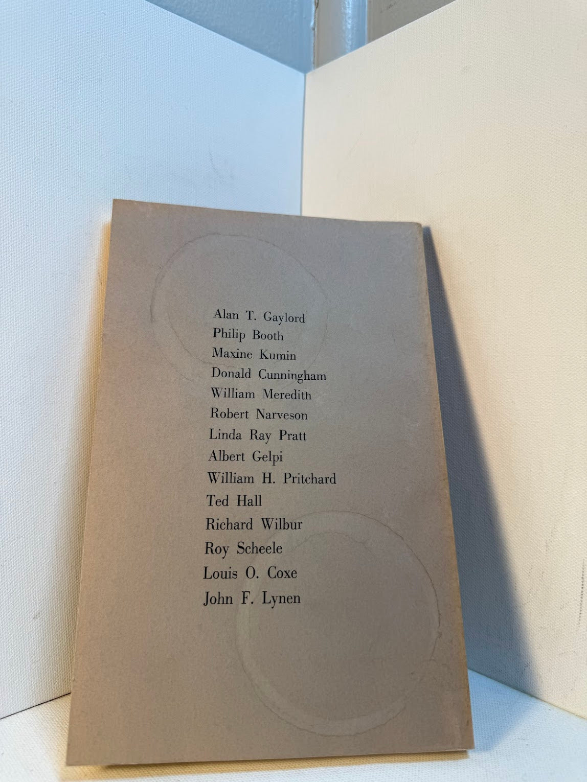 Gone Into If Not Explained - Essays on Poems by Robert Frost