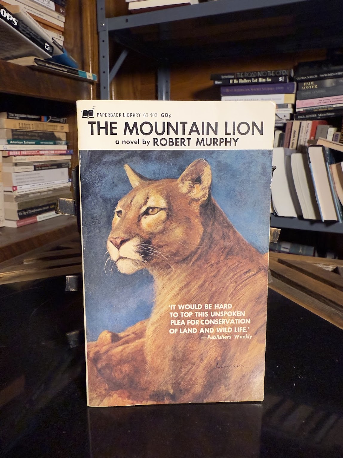 The Mountain Lion by Robert Murphy