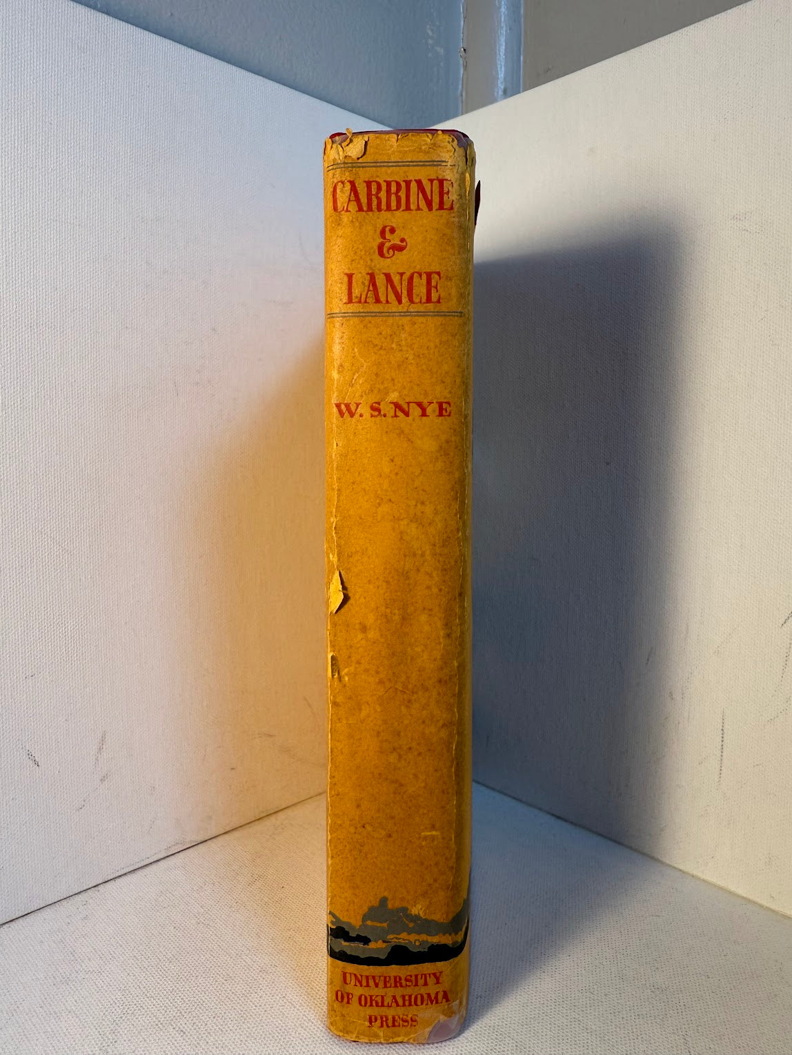 Carbine & Lance by Colonel W.S. Nye