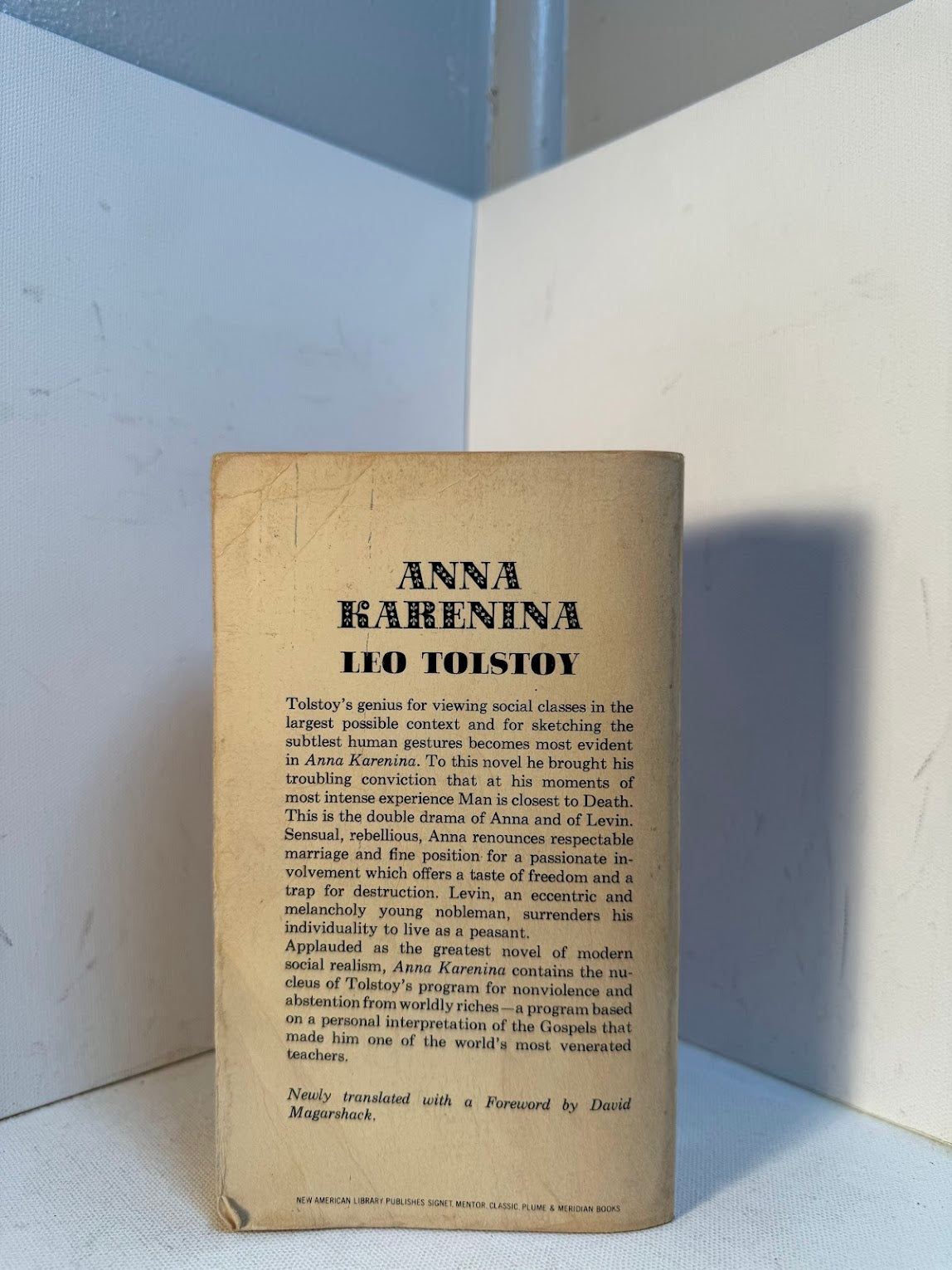Anna Karenina by Leo Tolstoy