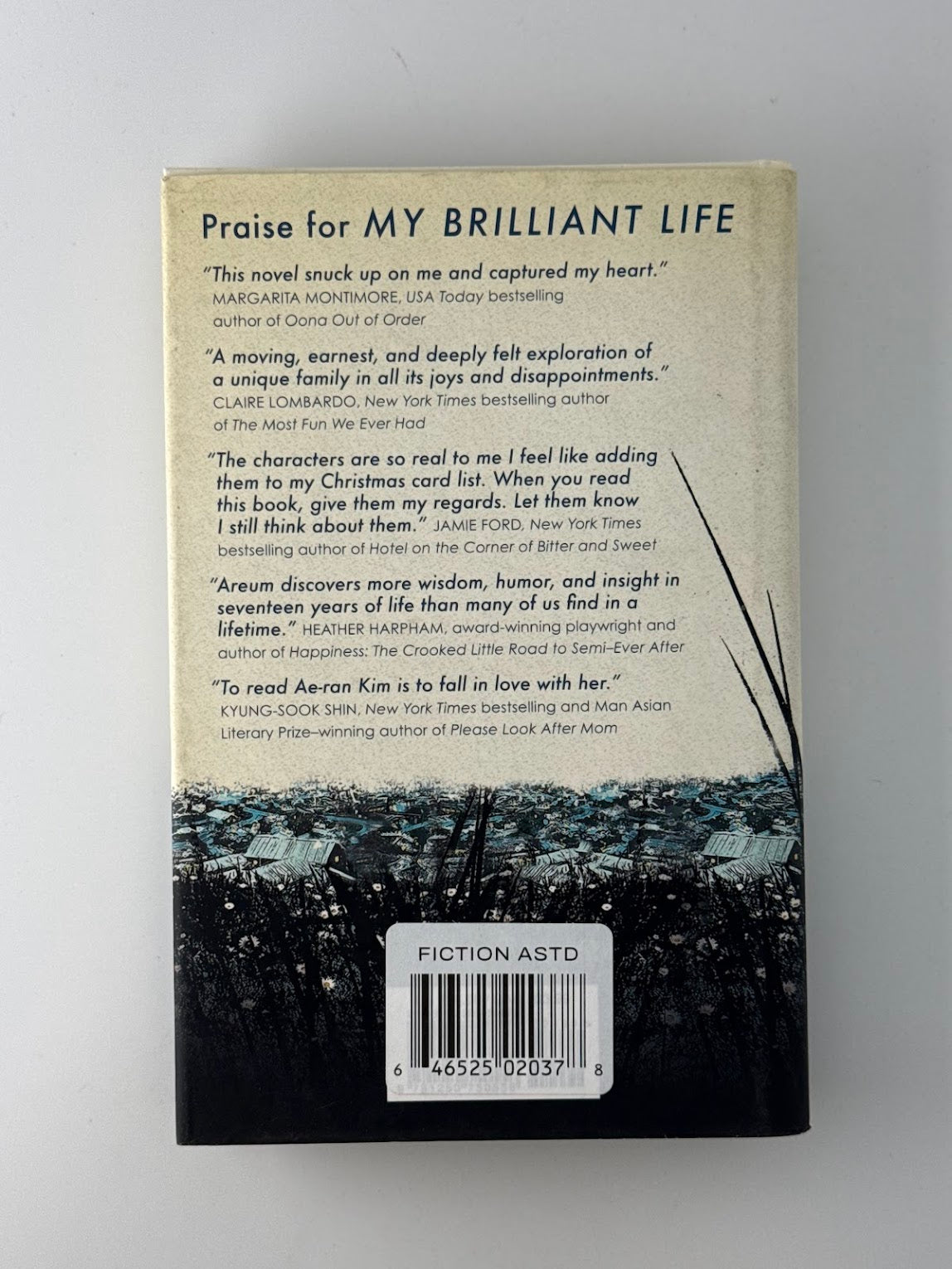 My Brilliant Life by Ae-ran Kim