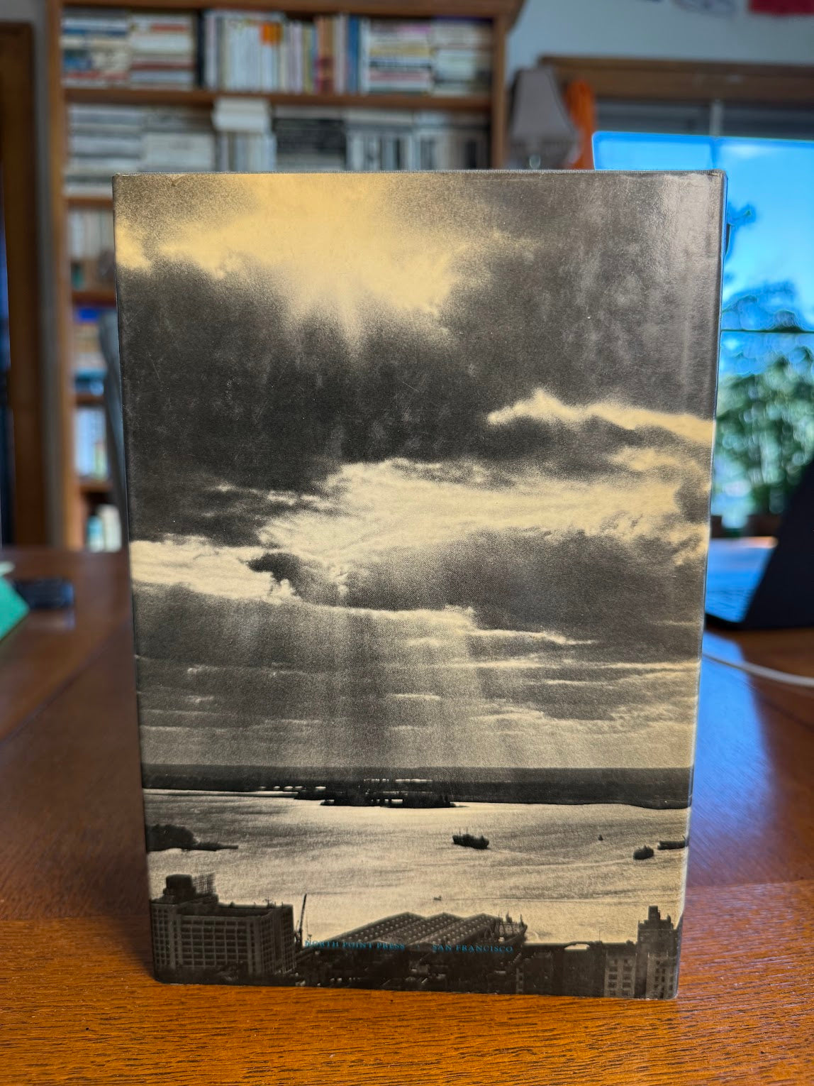 Fall & Rise by Stephen Dixon