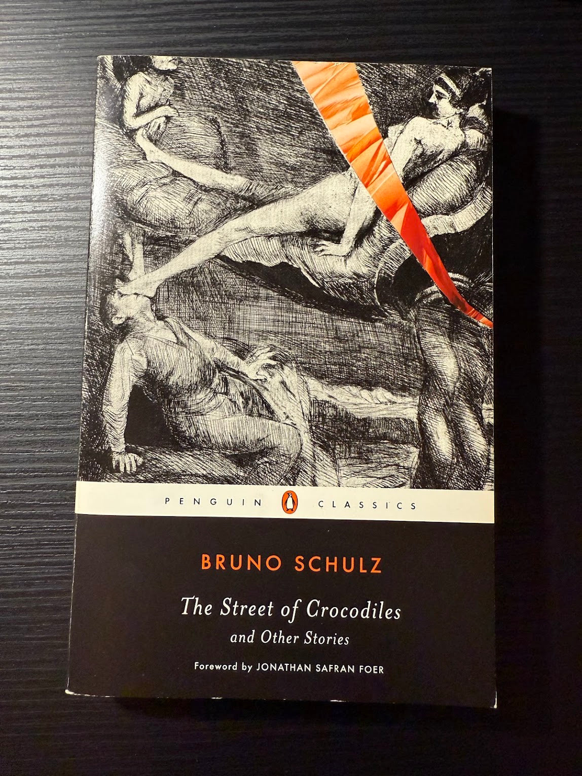 The Street of Crocodiles and Other Stories by Bruno Schulz