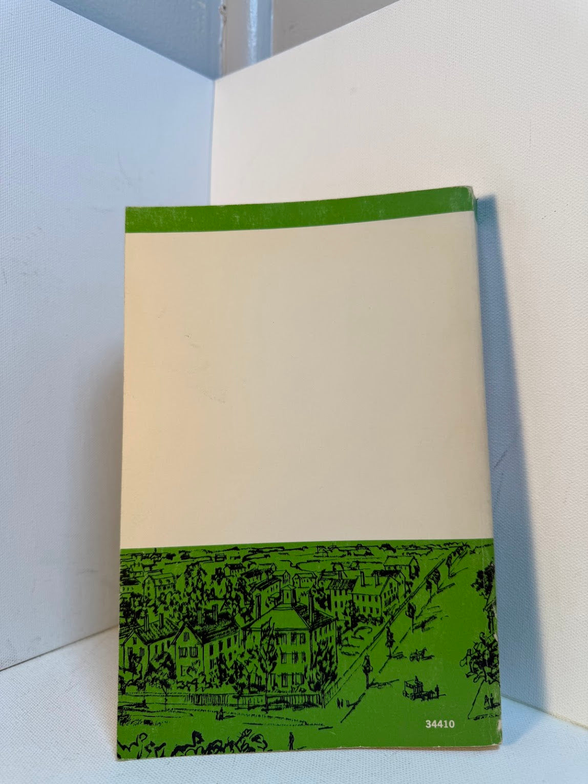 A History of Urban America by Charles N. Glad and A. Theodore Brown