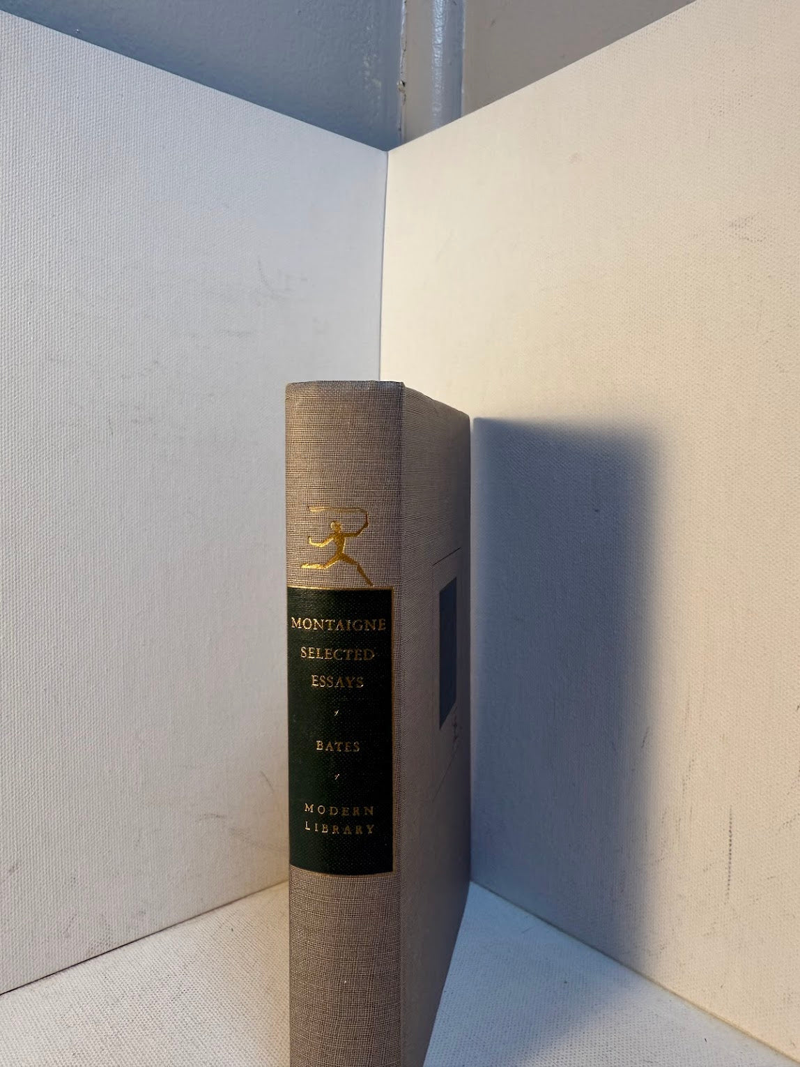 Selected Essays of Montaigne