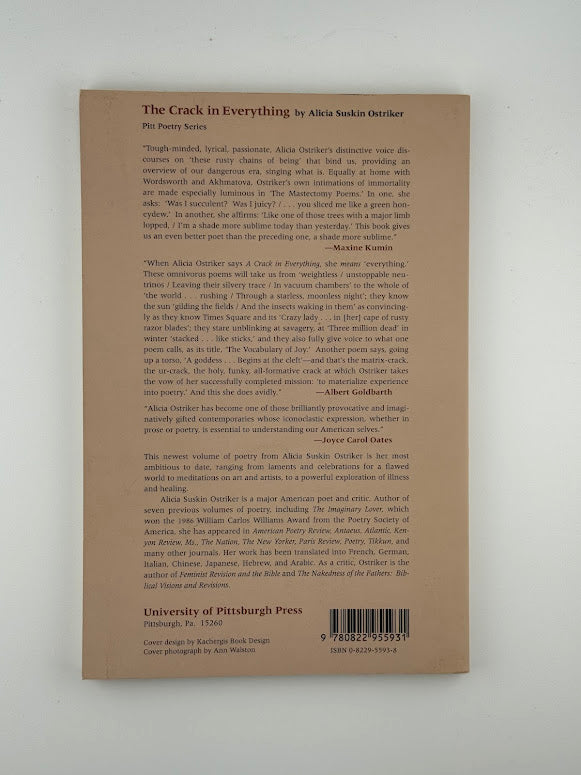 The Crack in Everything by Alicia Suskin Ostriker