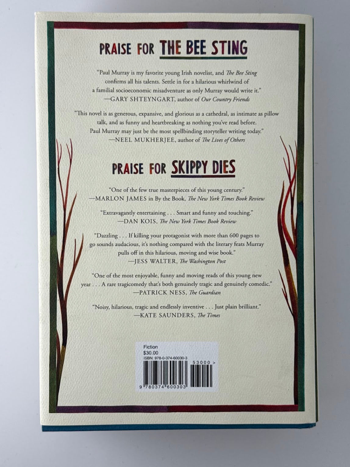 The Bee Sting by Paul Murray