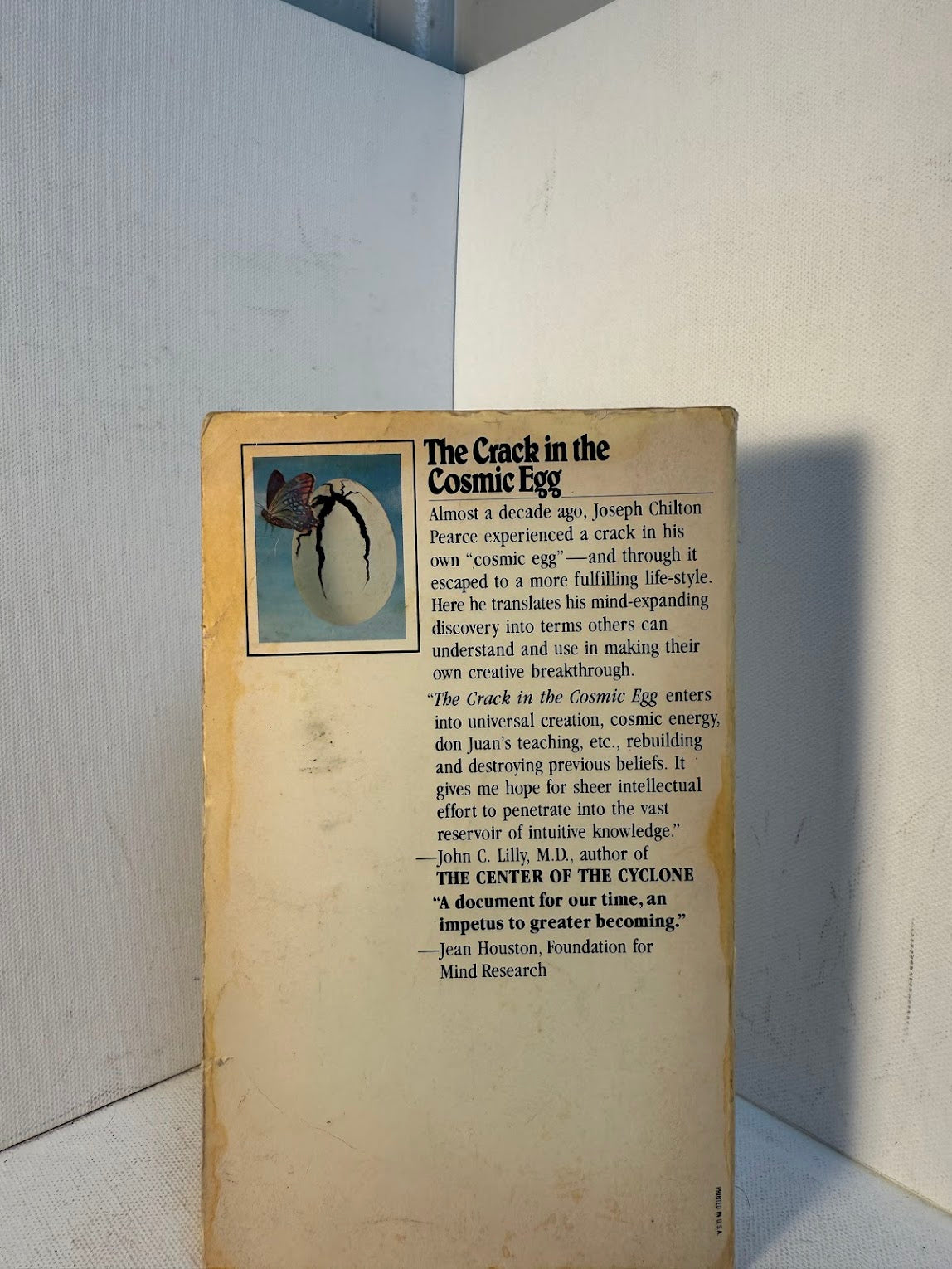 The Crack in the Cosmic Egg by Joseph Chilton Pearce