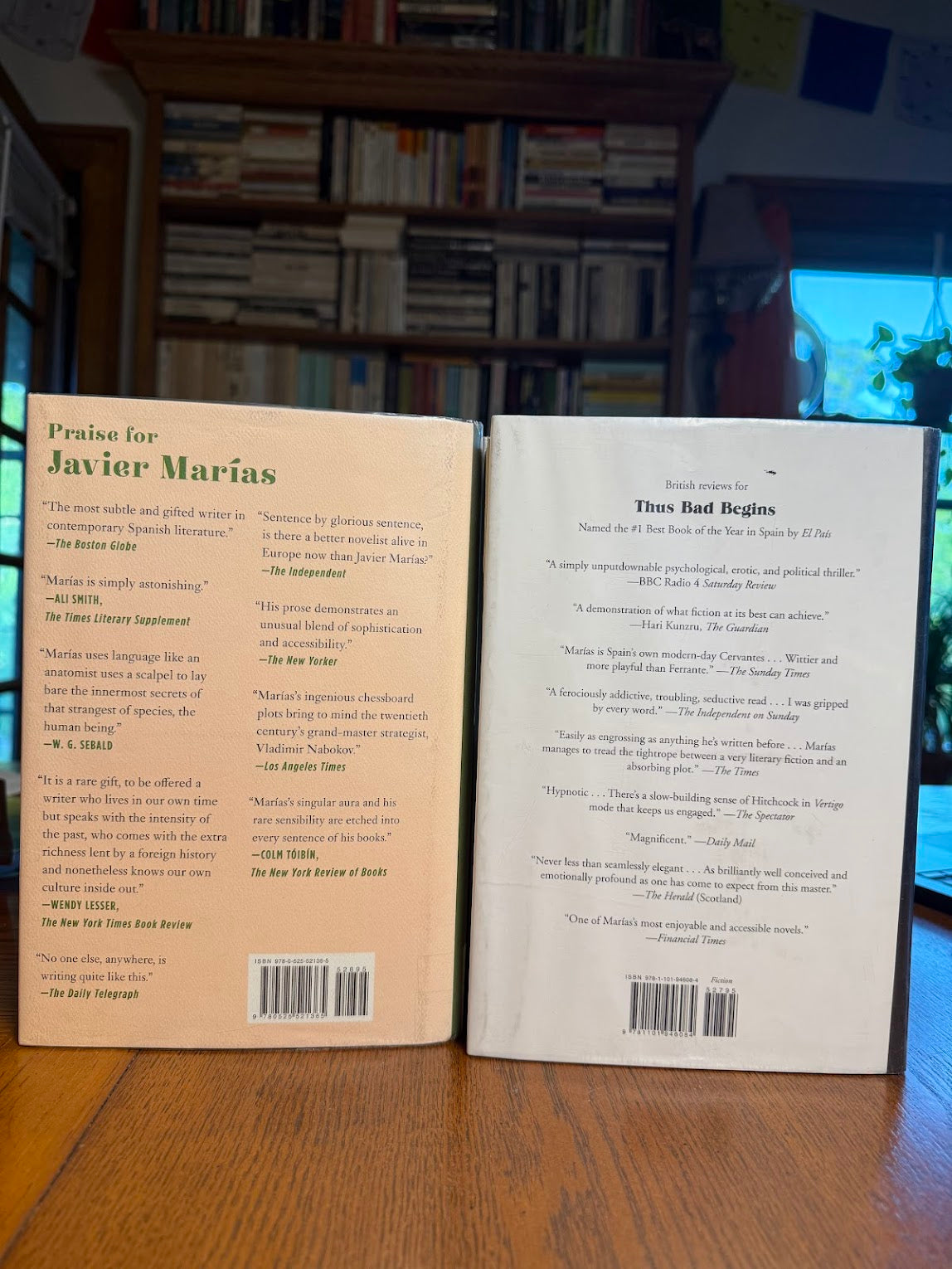 Berta Isla & Thus Bad Begins by Javier Marias