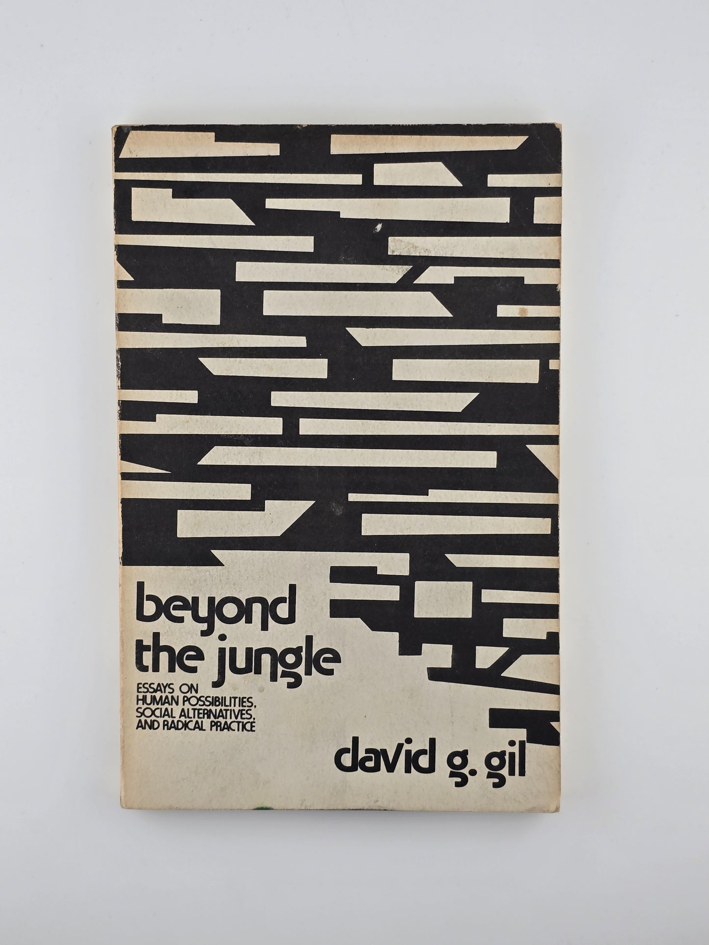 Beyond the Jungle by David G. Gil