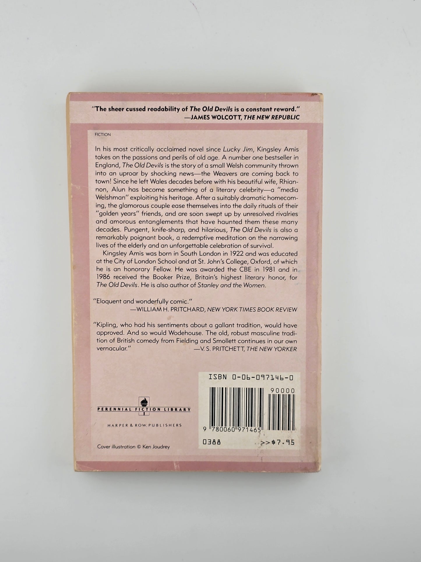 The Old Devils by Kingsley Amis