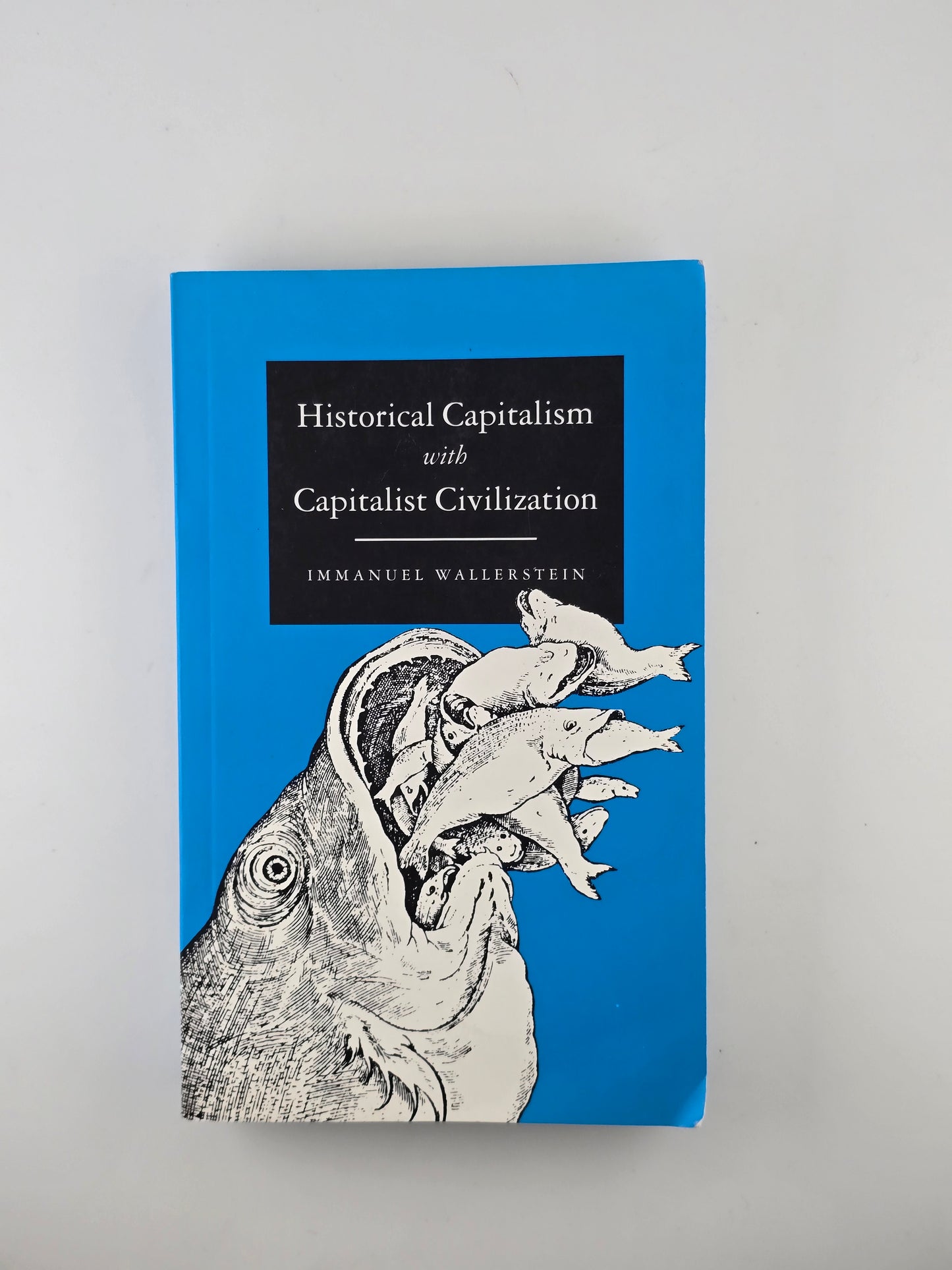 Historical Capitalism and Capitalist Civilization by Immanuel Wallerstein