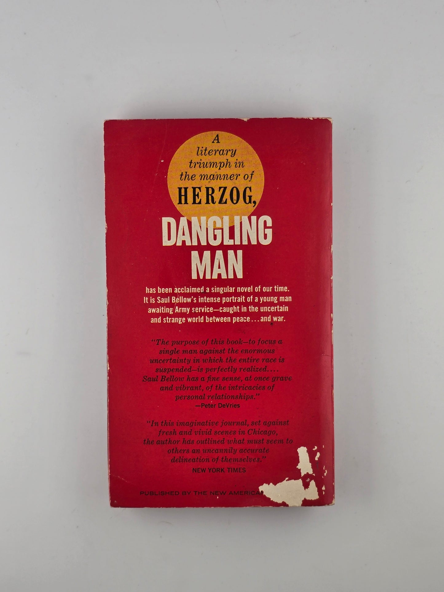 Dangling Man by Saul Bellow