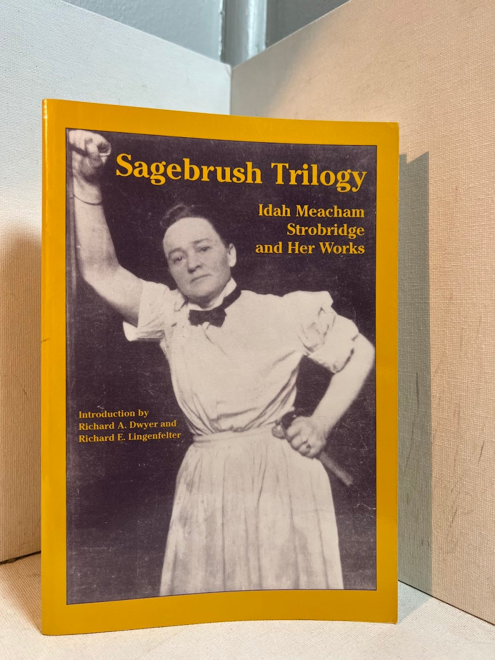 Sagebrush Trilogy - Idah Meacham Strobridge and Her Works