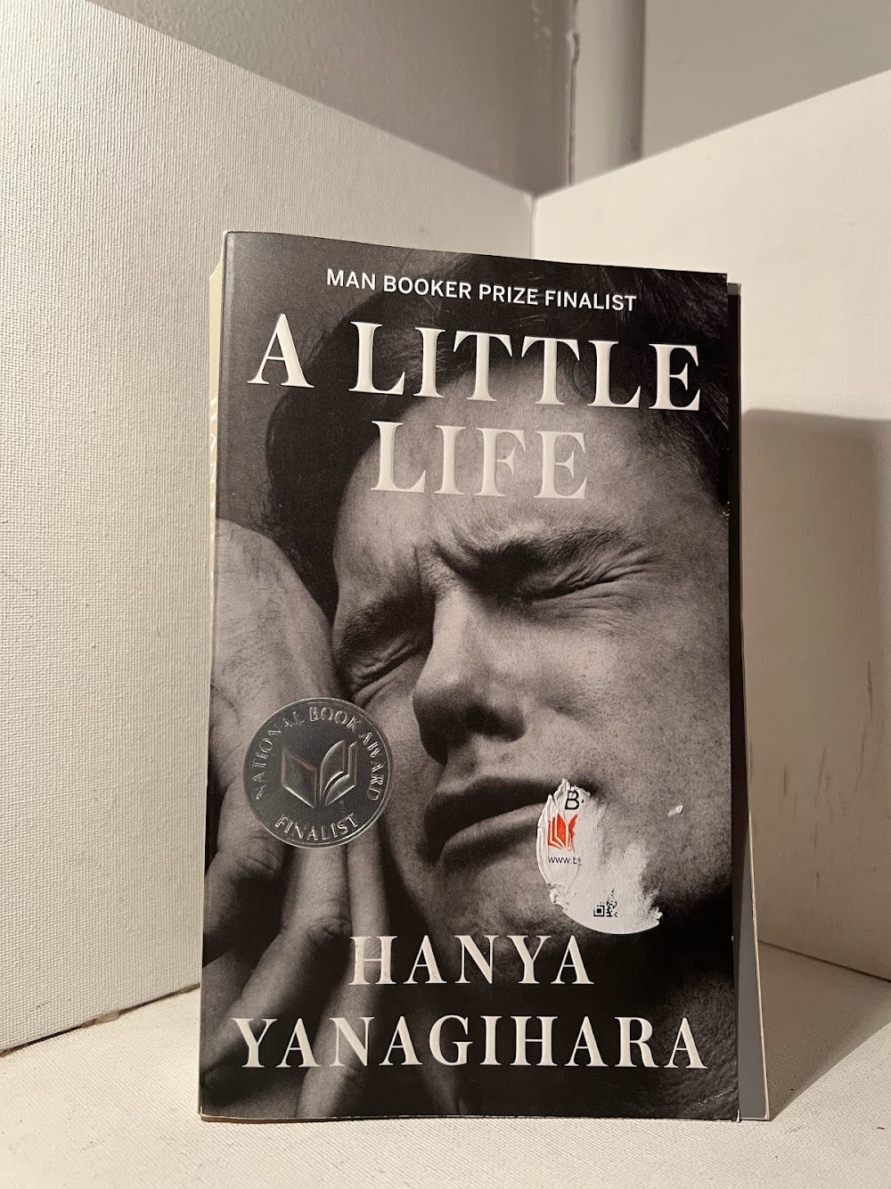 A Little Life by Hanya Yanagihara