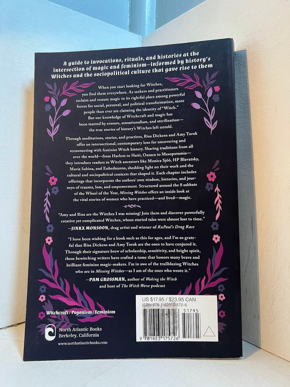 Missing Witches - Recovering the True Histories of Feminist Magic by Risa Dickens and Amy Torok