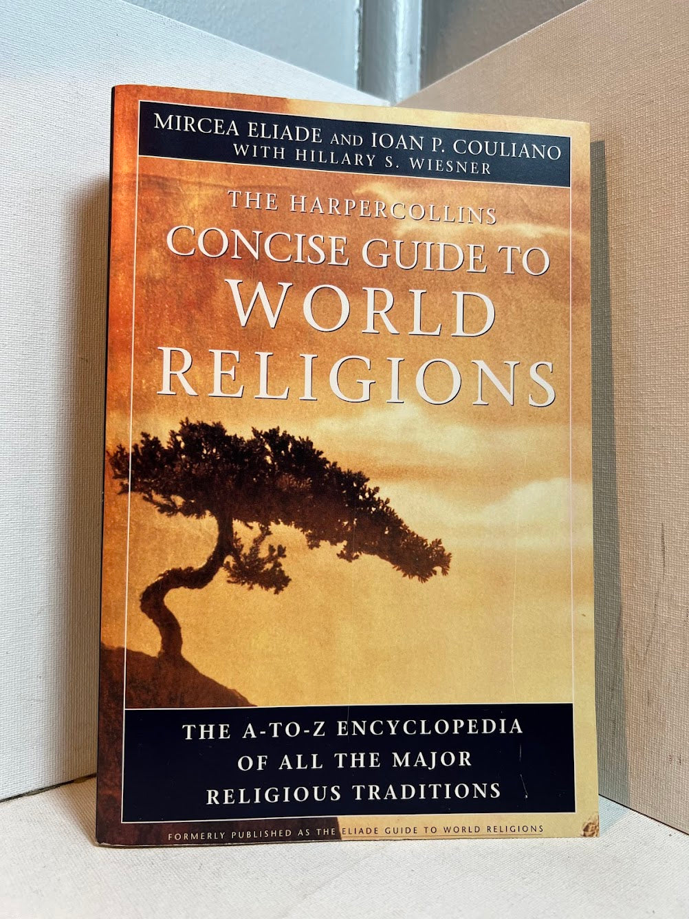 The Concise Guide to World Religions by Mircea Eliade and Ioan Couliano