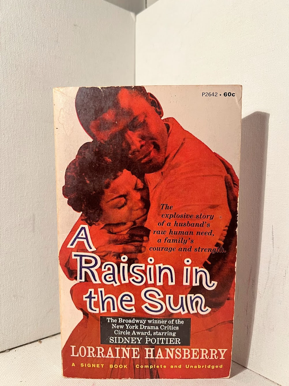 A Raisin in the Sun by Lorraine Hansberry